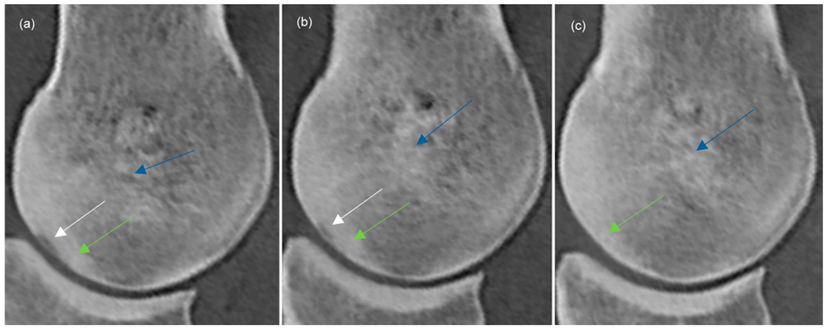 Animals 14 00812 g004 Animals 14 00812 g004