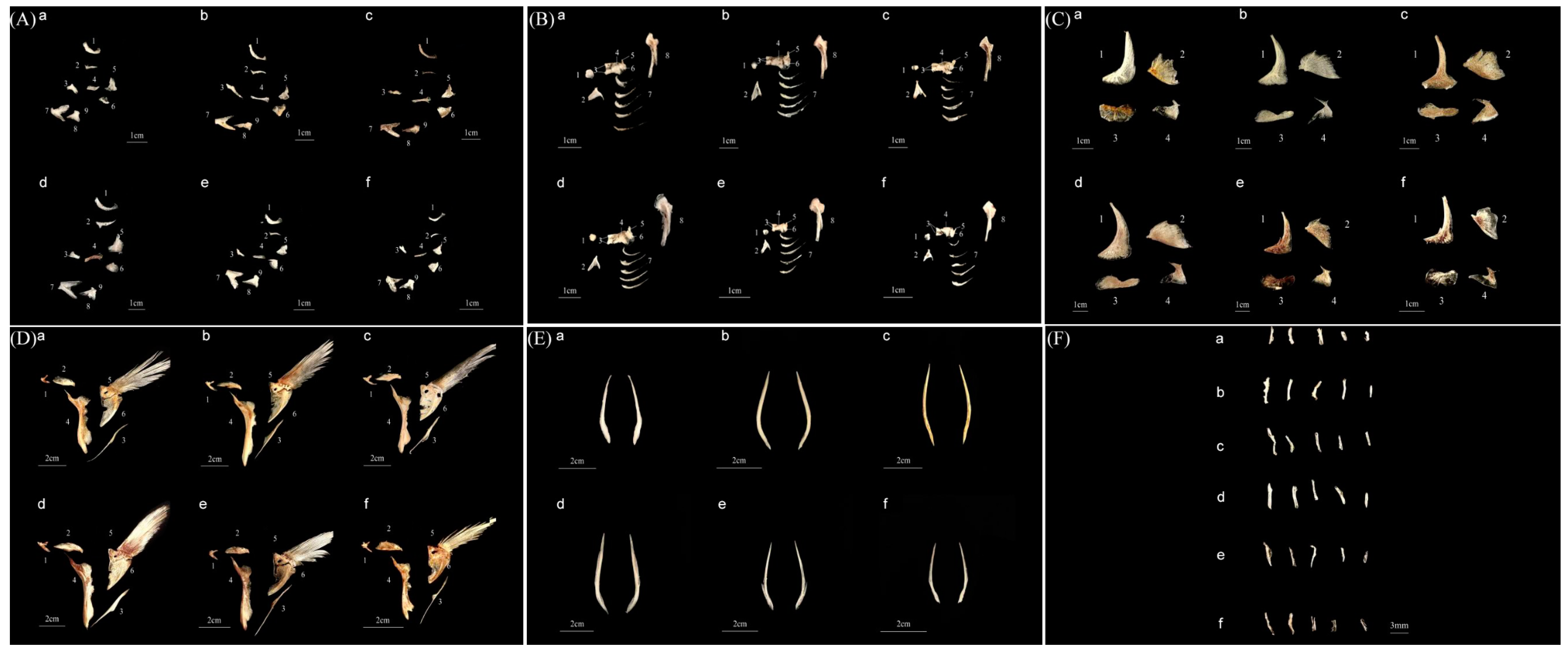 Animals 14 00814 g002 Animals 14 00814 g002