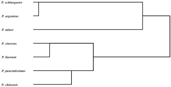 Comparative Analysis of the Systematics and Evolution of the Pampus ...
