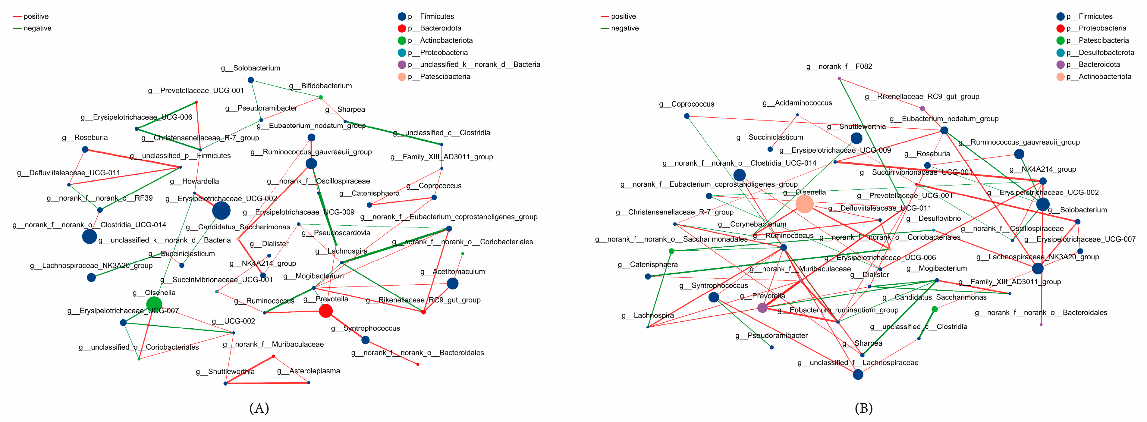 Animals 14 00820 g008