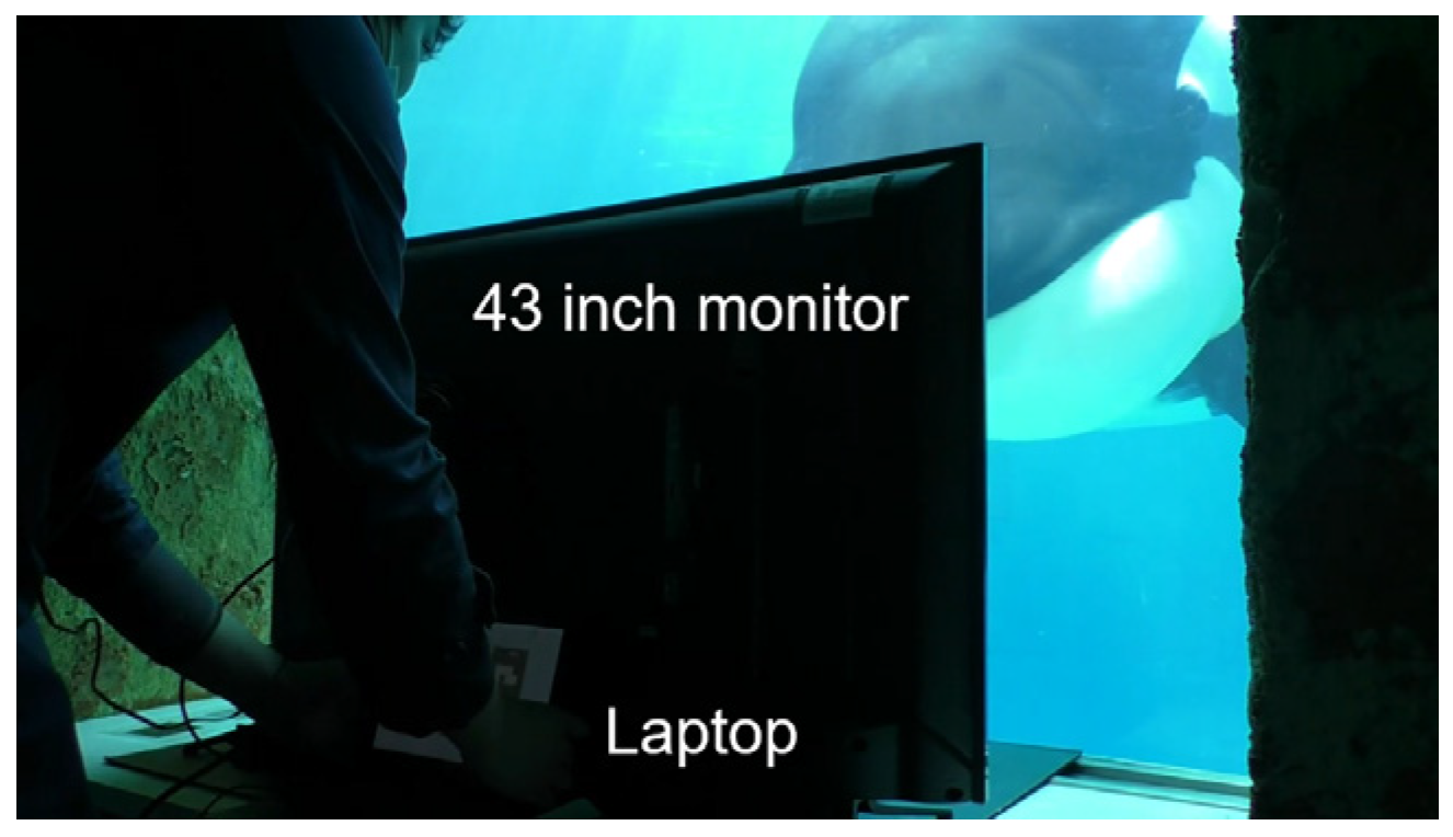 Animals 14 00821 g006 Animals 14 00821 g006