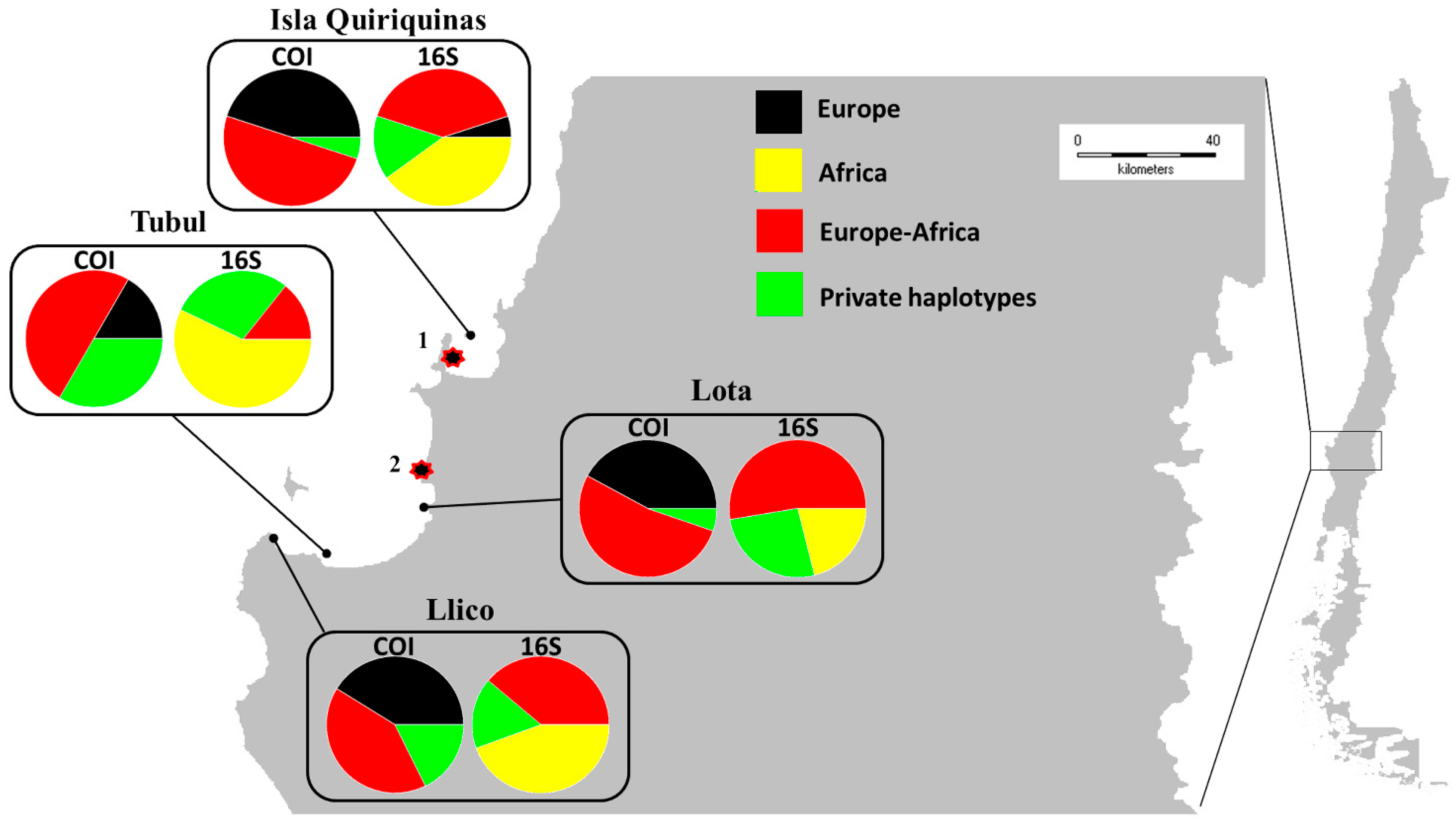 Animals 14 00823 g002