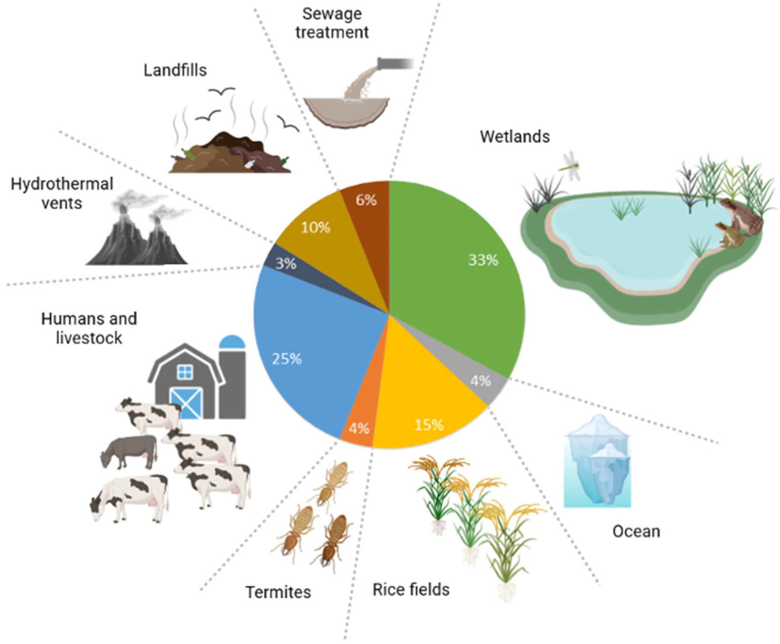 Animals 14 00829 g002