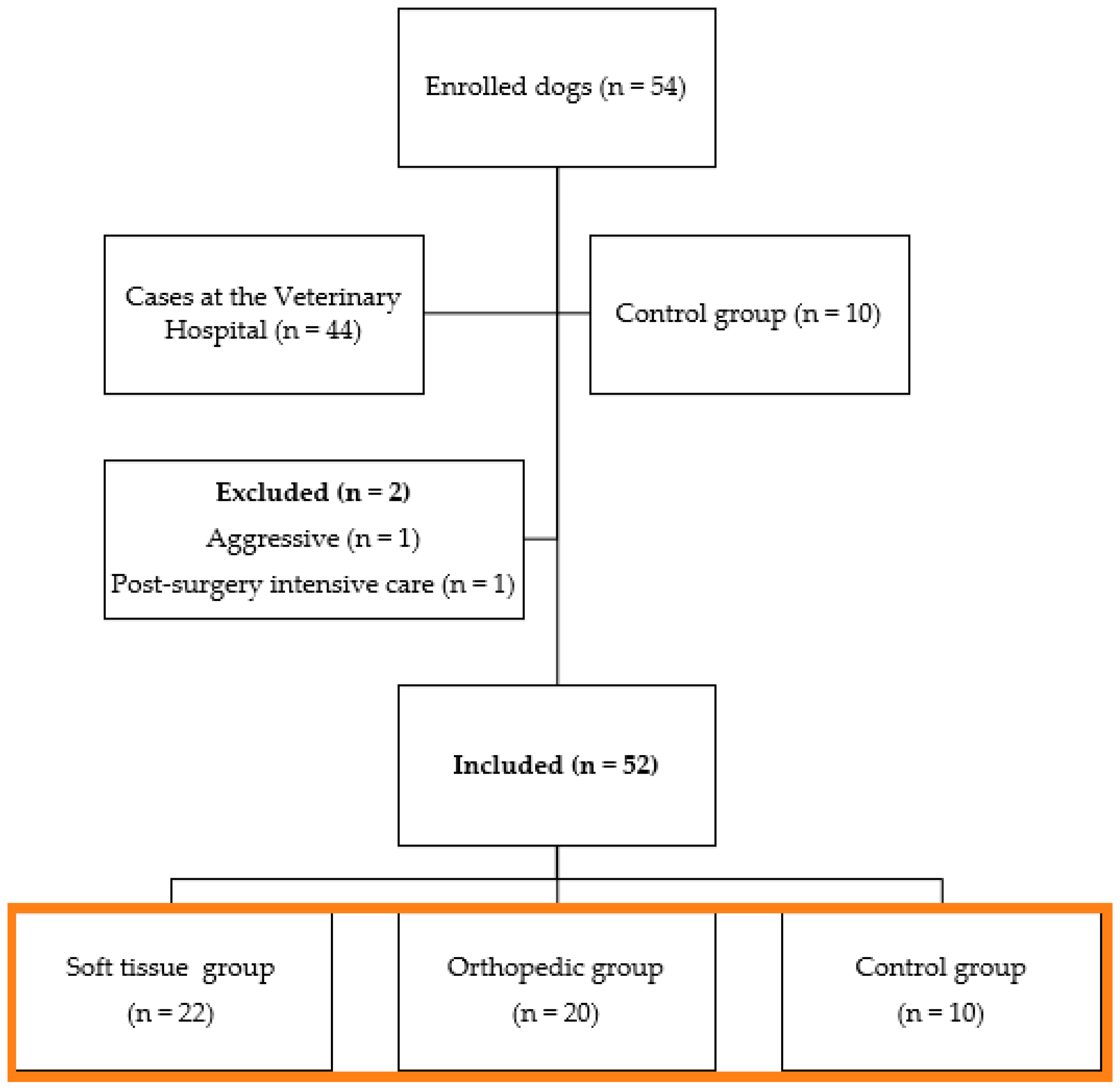 Animals 14 00831 g001