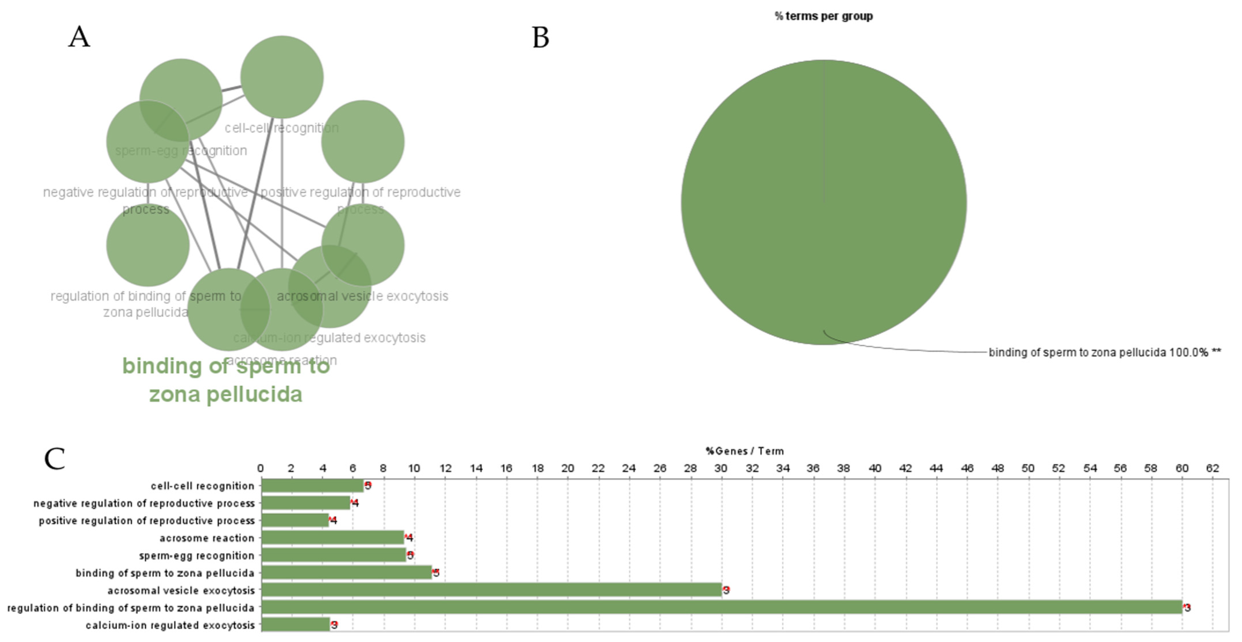 Animals 14 00833 g004 Animals 14 00833 g004