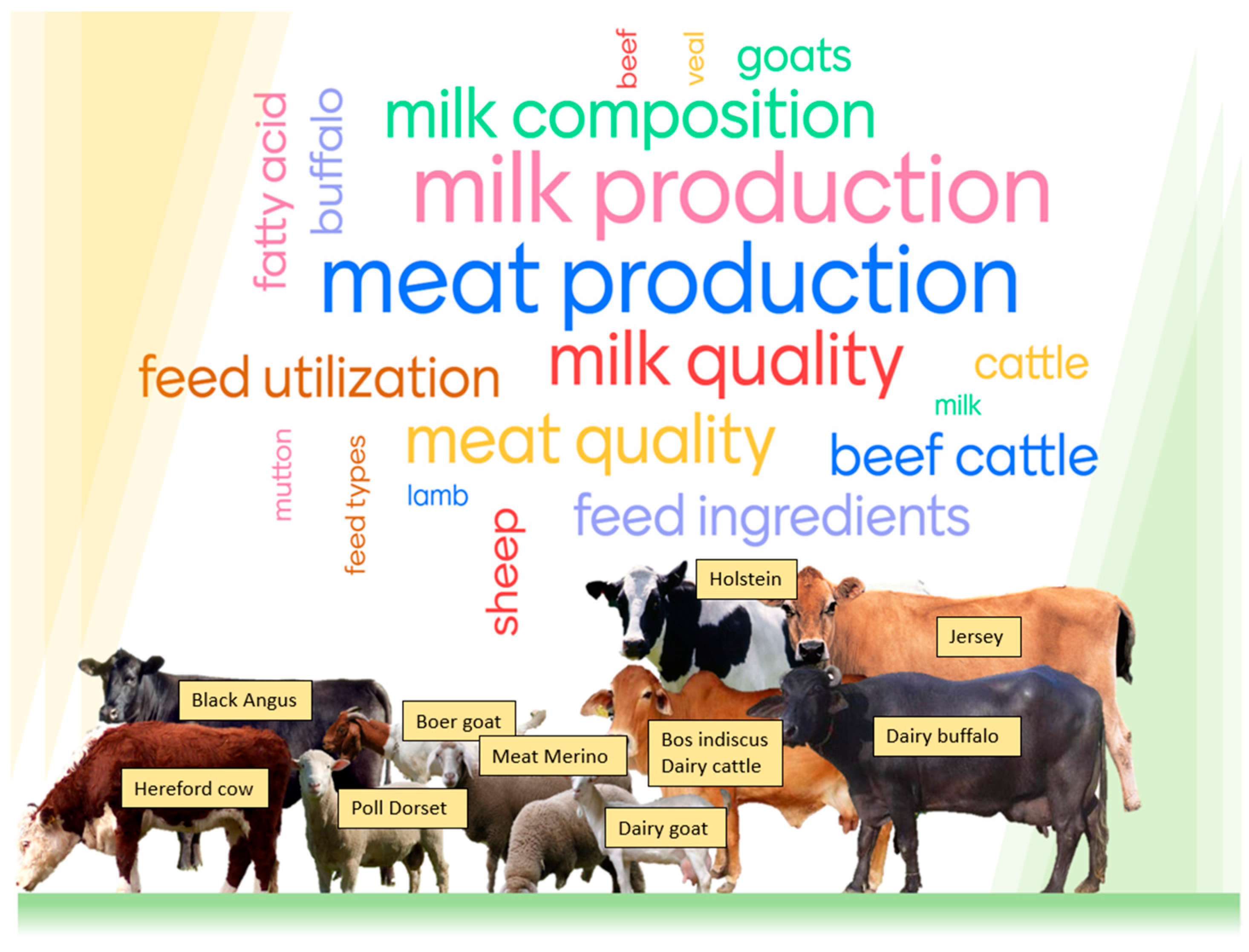 Animals 14 00840 g001 Animals 14 00840 g001