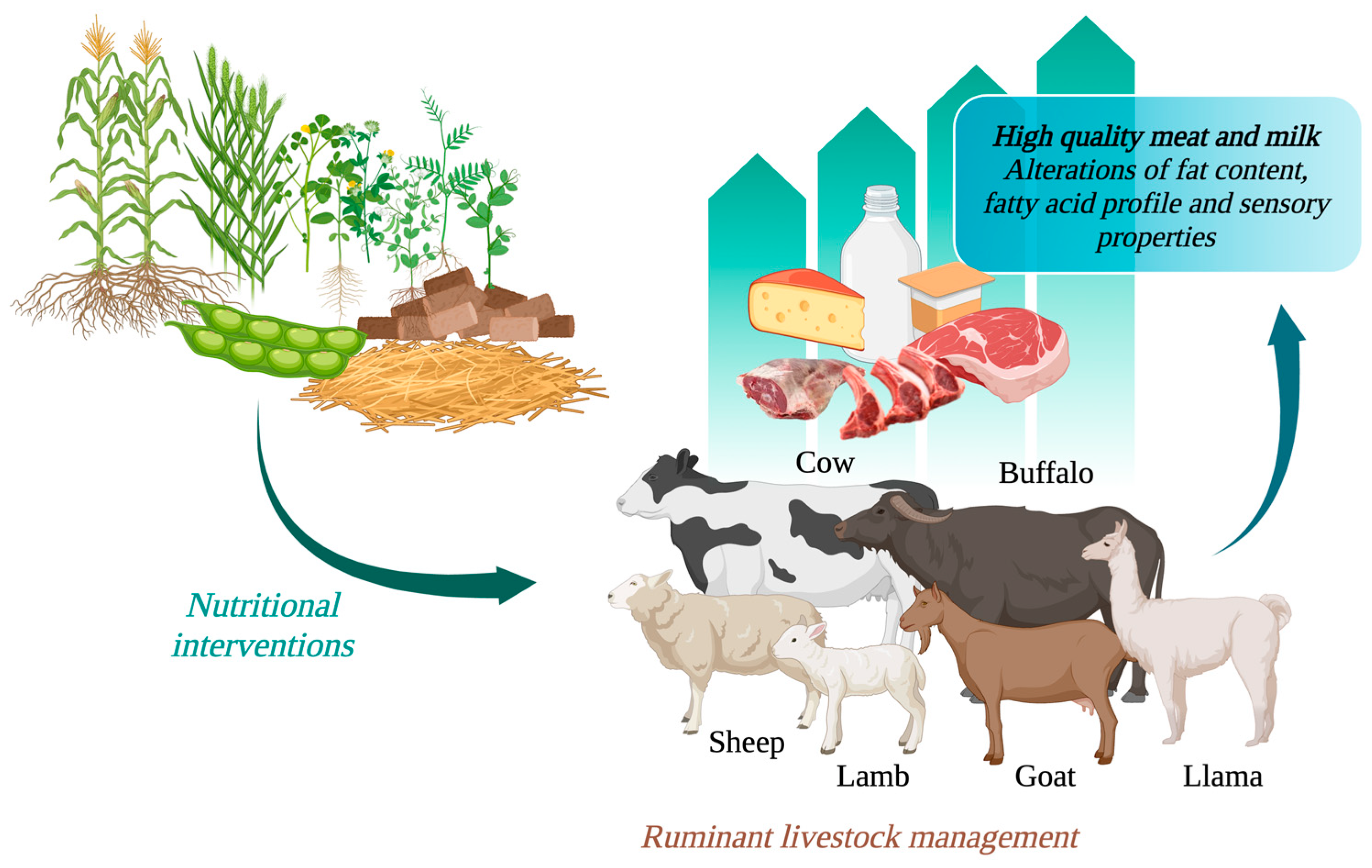 Animals 14 00840 g008 Animals 14 00840 g008