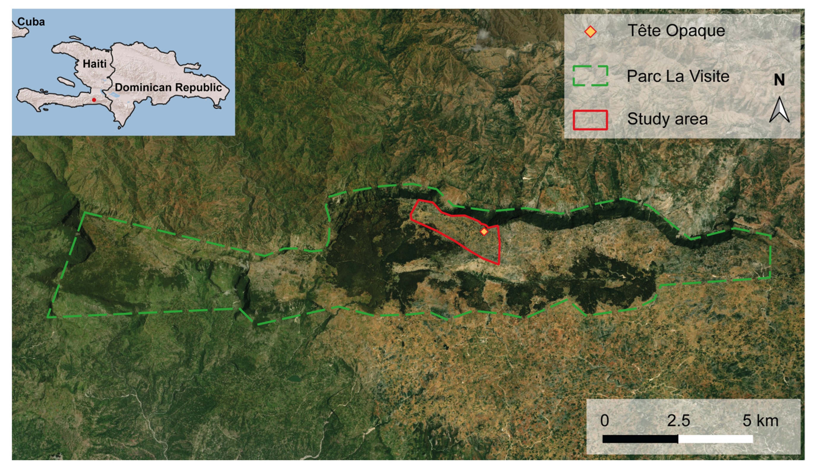 Animals 14 00842 g001