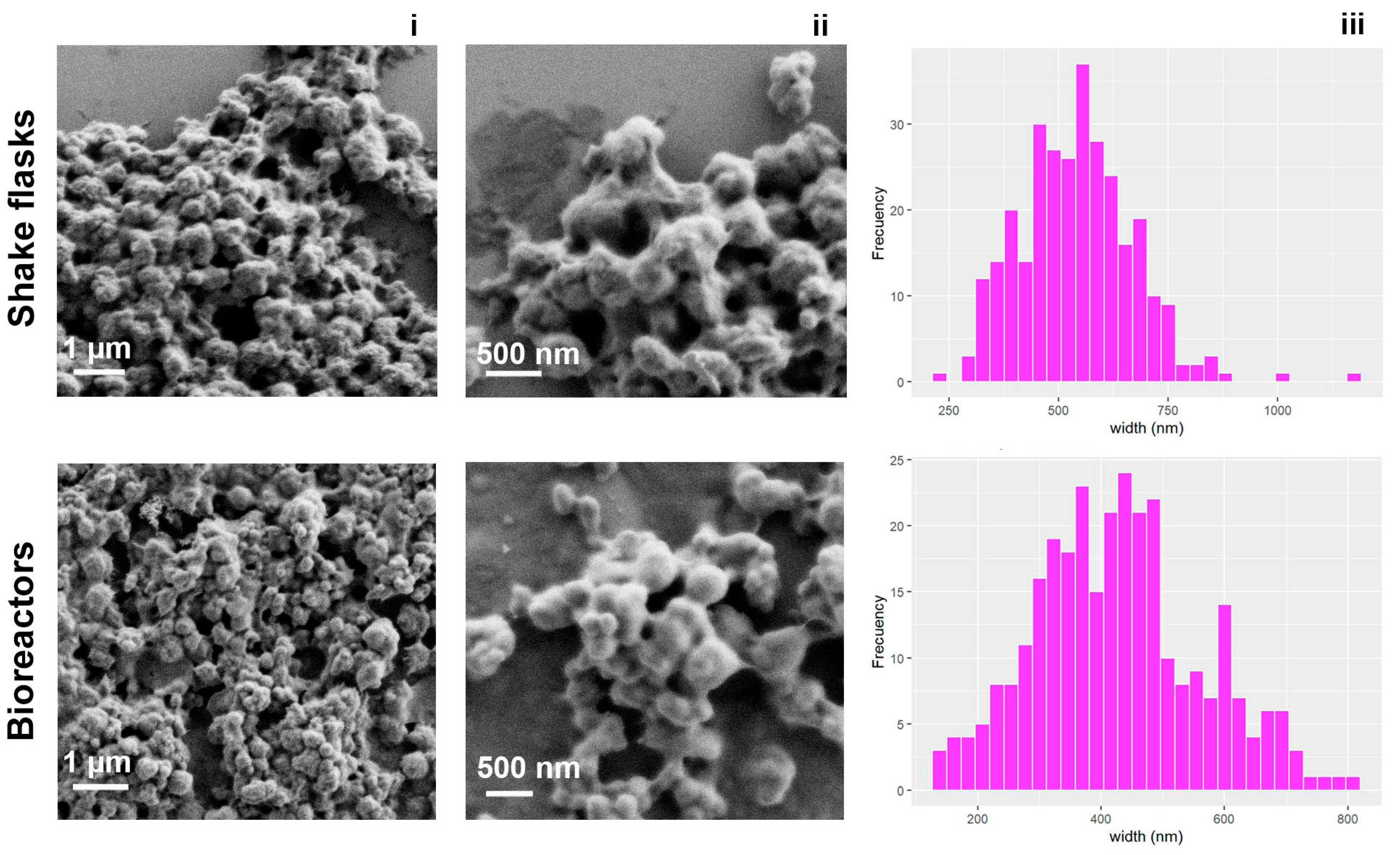 Animals 14 00844 g005