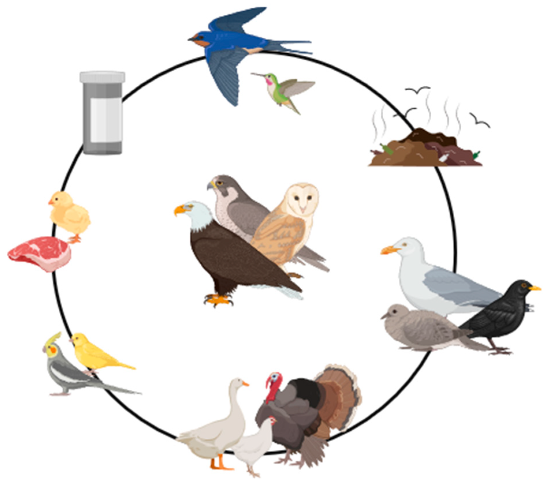 Animals 14 00856 g001 Animals 14 00856 g001