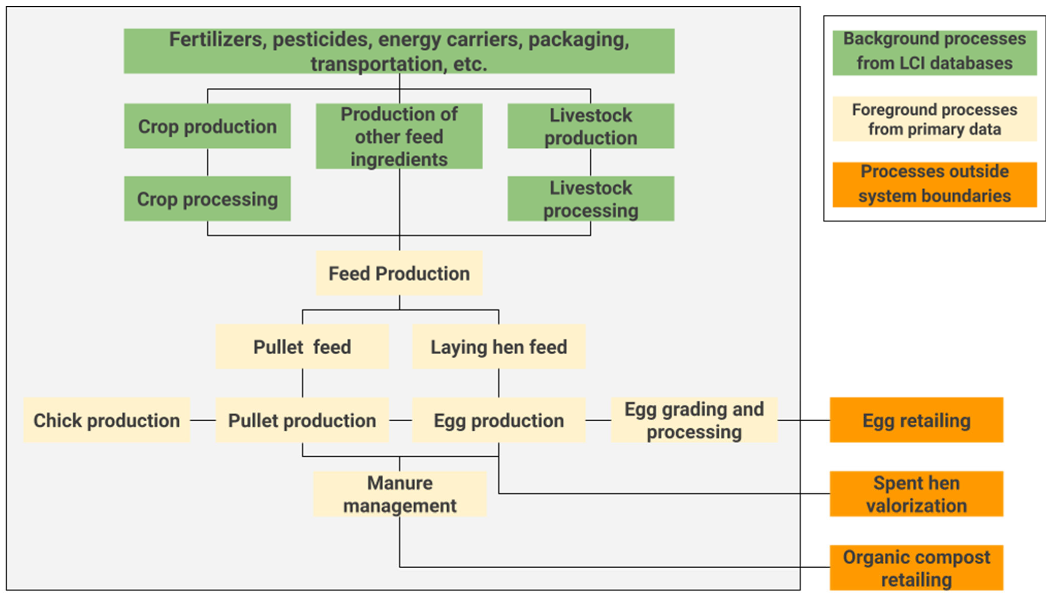 Animals 14 00861 g002