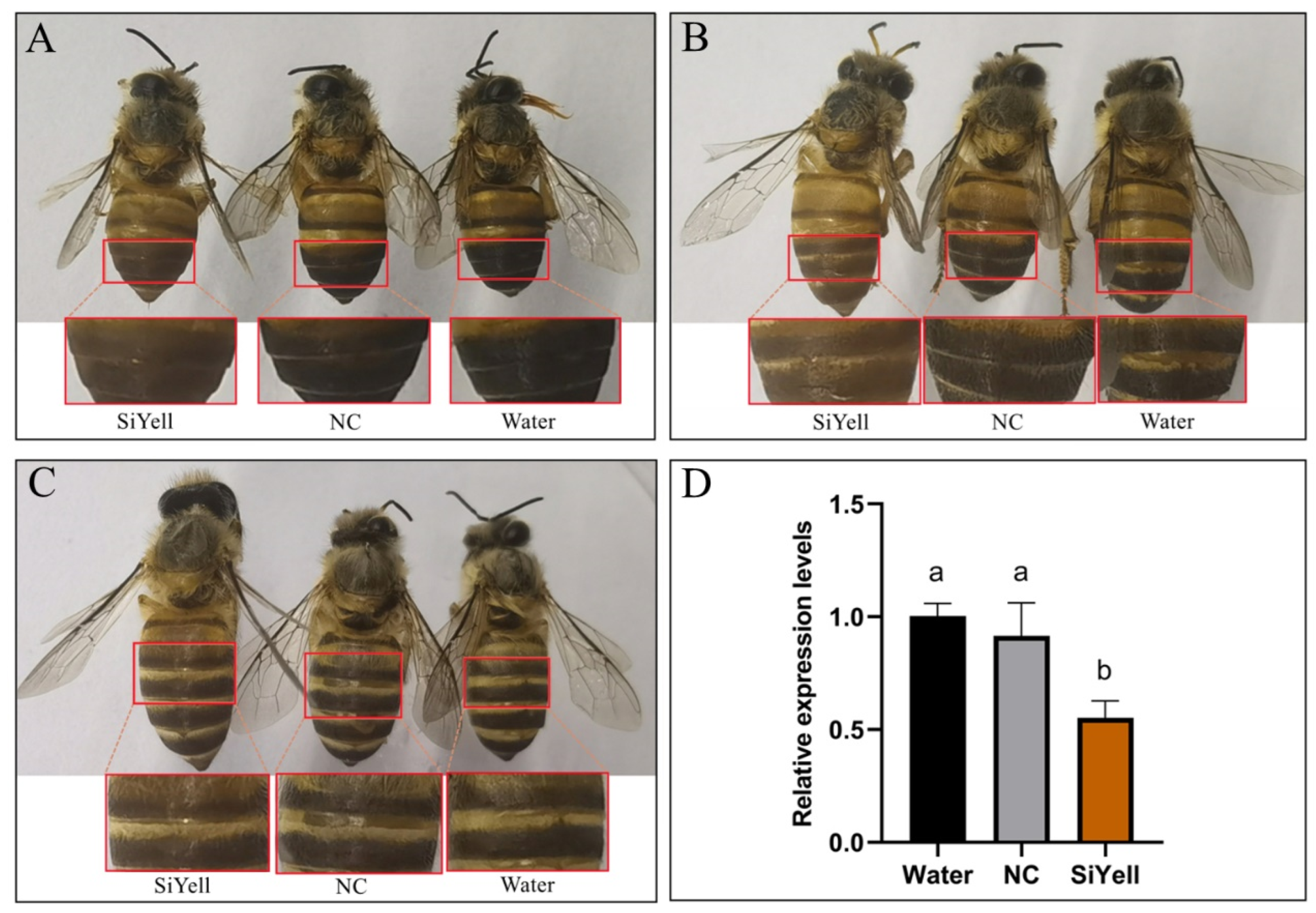 Animals 14 00862 g004