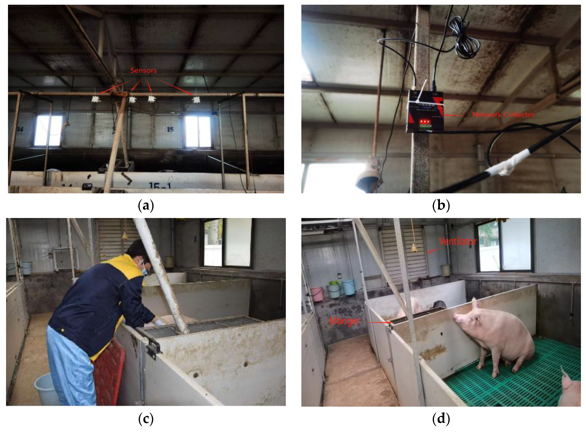 Animals 14 00863 g002