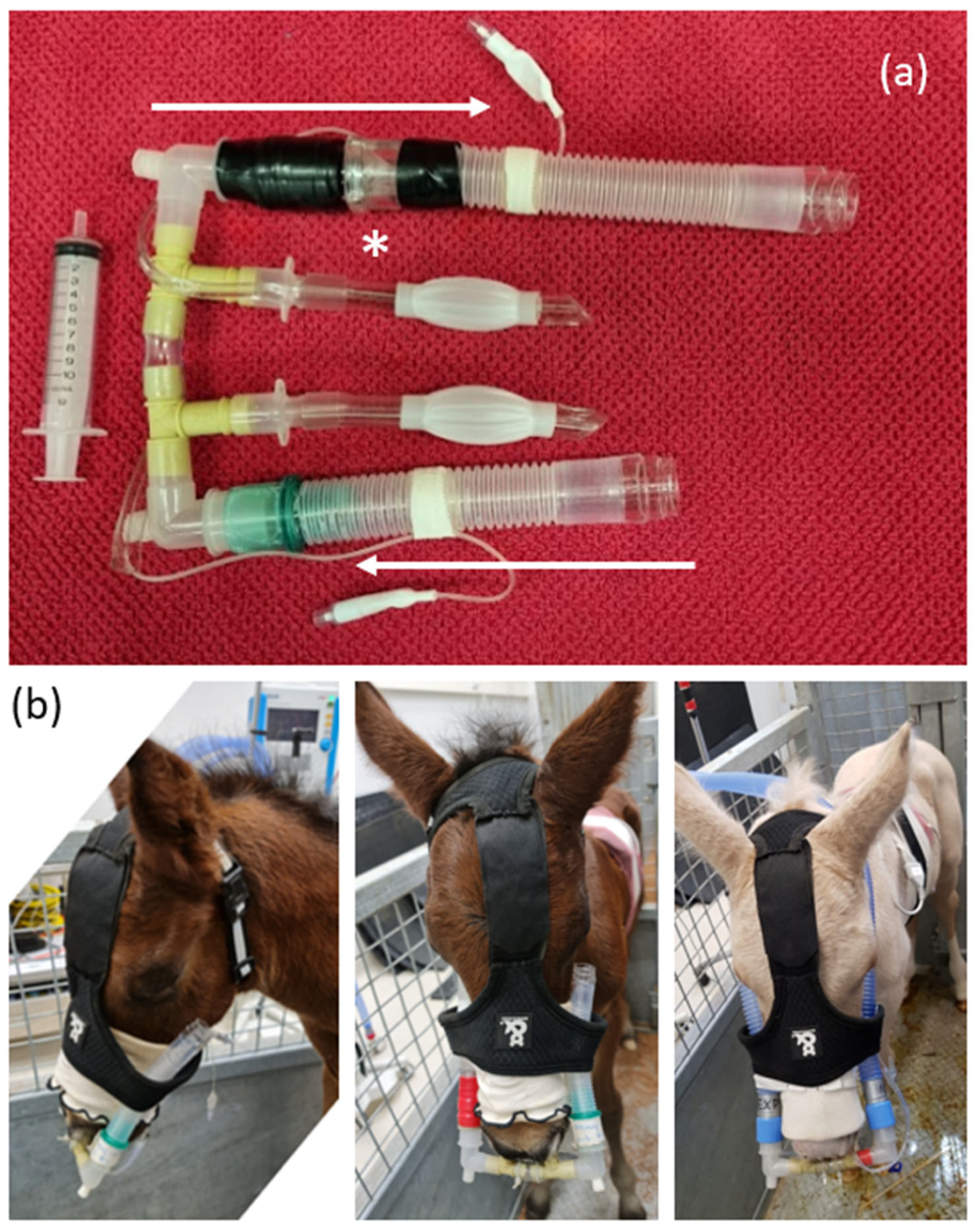 Animals 14 00865 g002