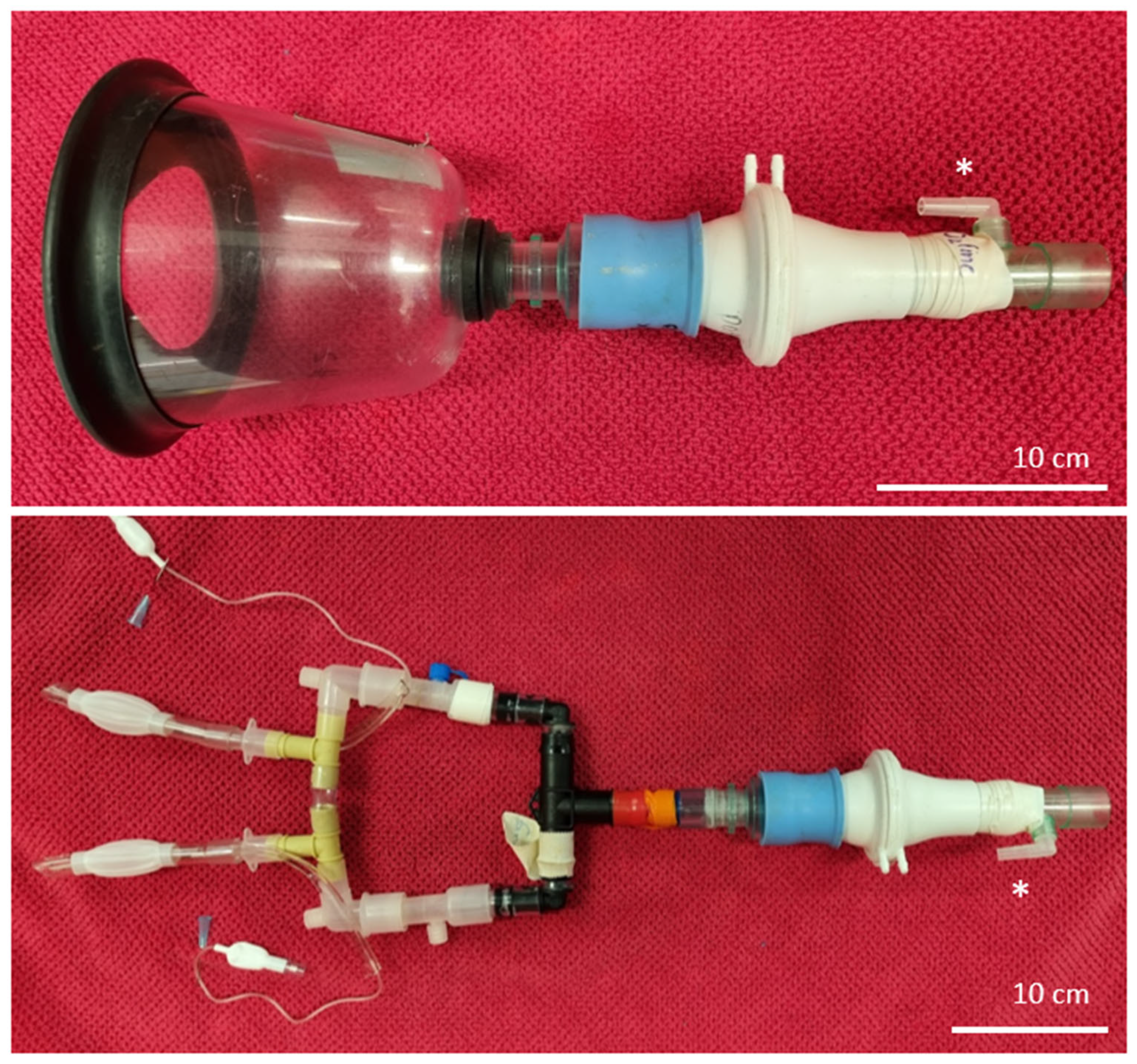 Animals 14 00865 g003