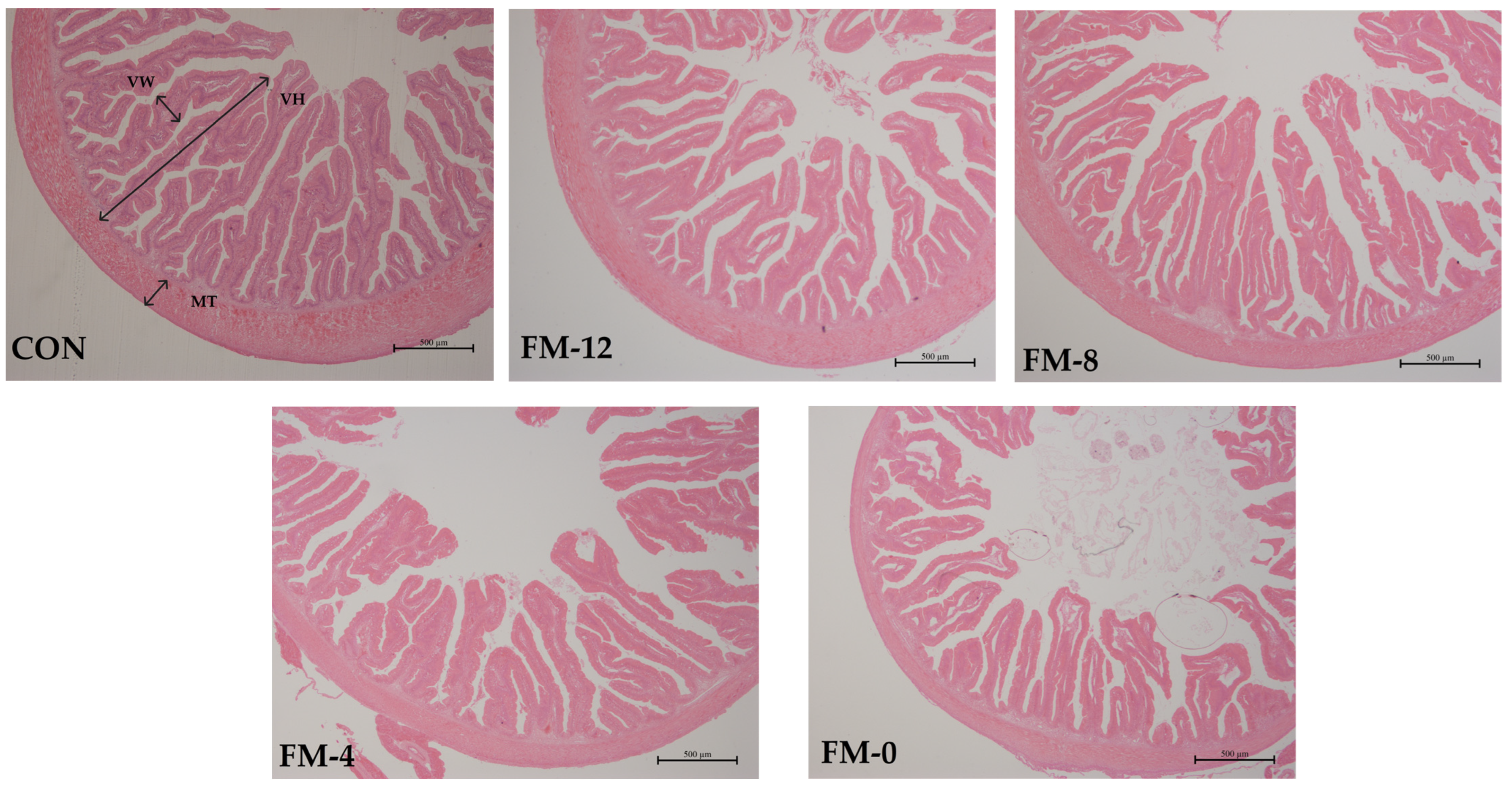 Animals 14 00869 g001