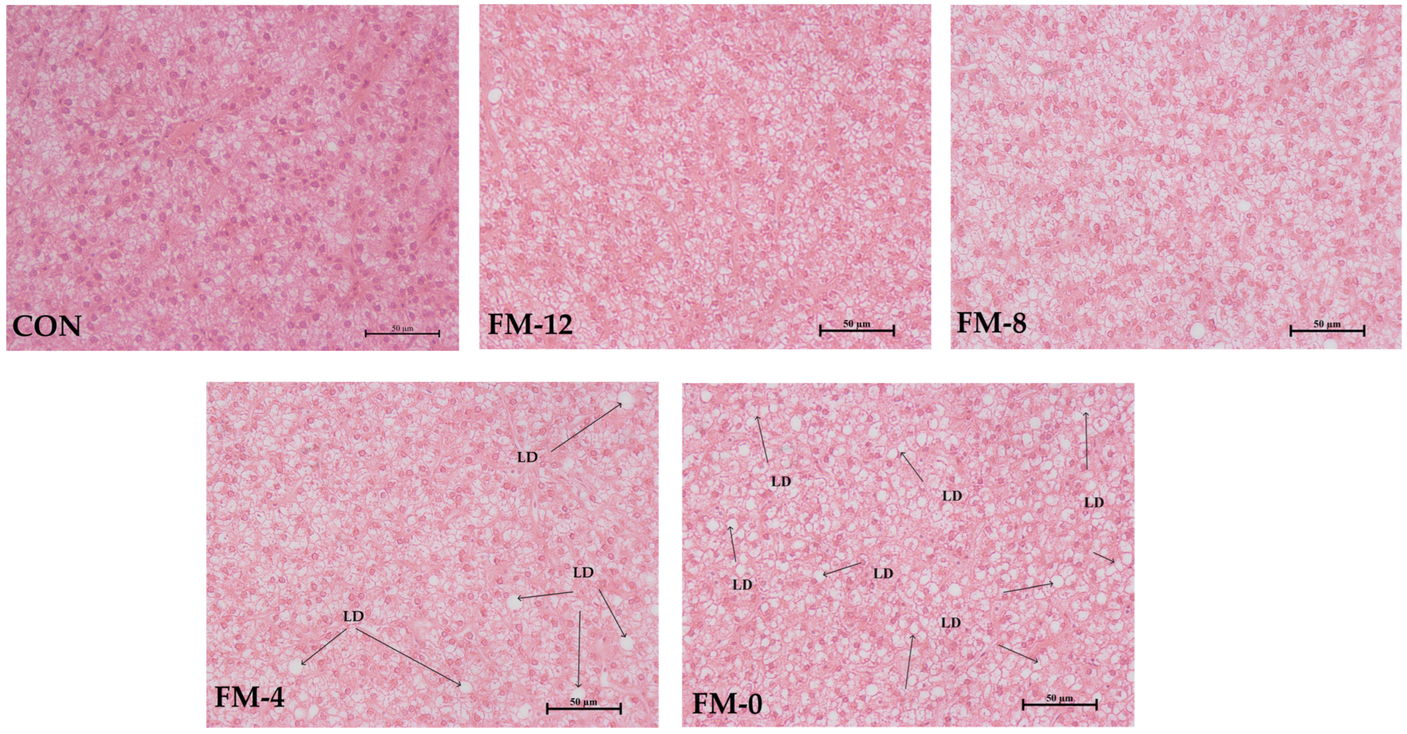 Animals 14 00869 g002