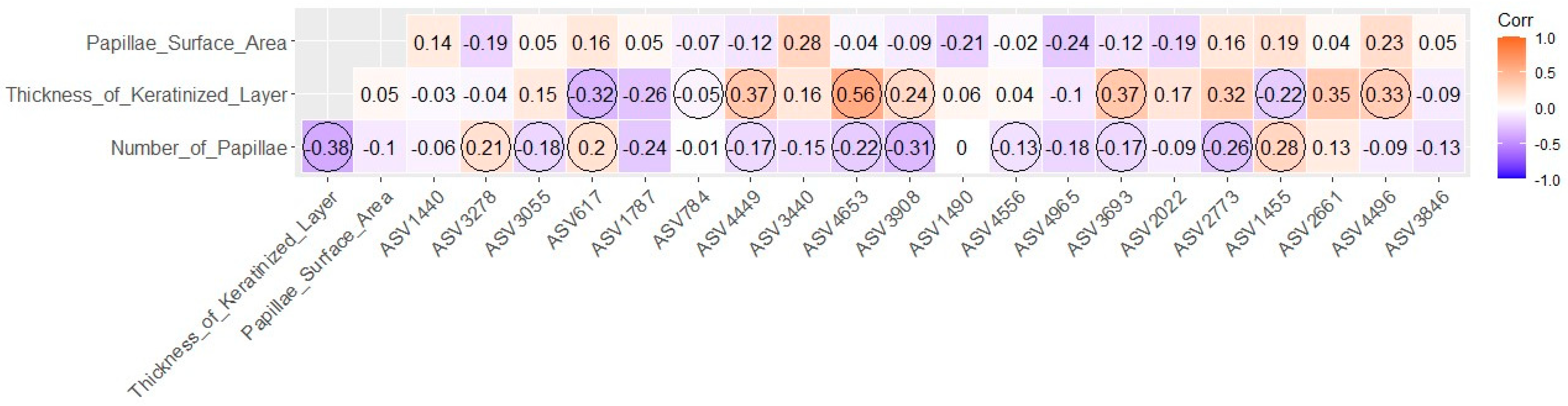 Animals 14 00870 g005 Animals 14 00870 g005