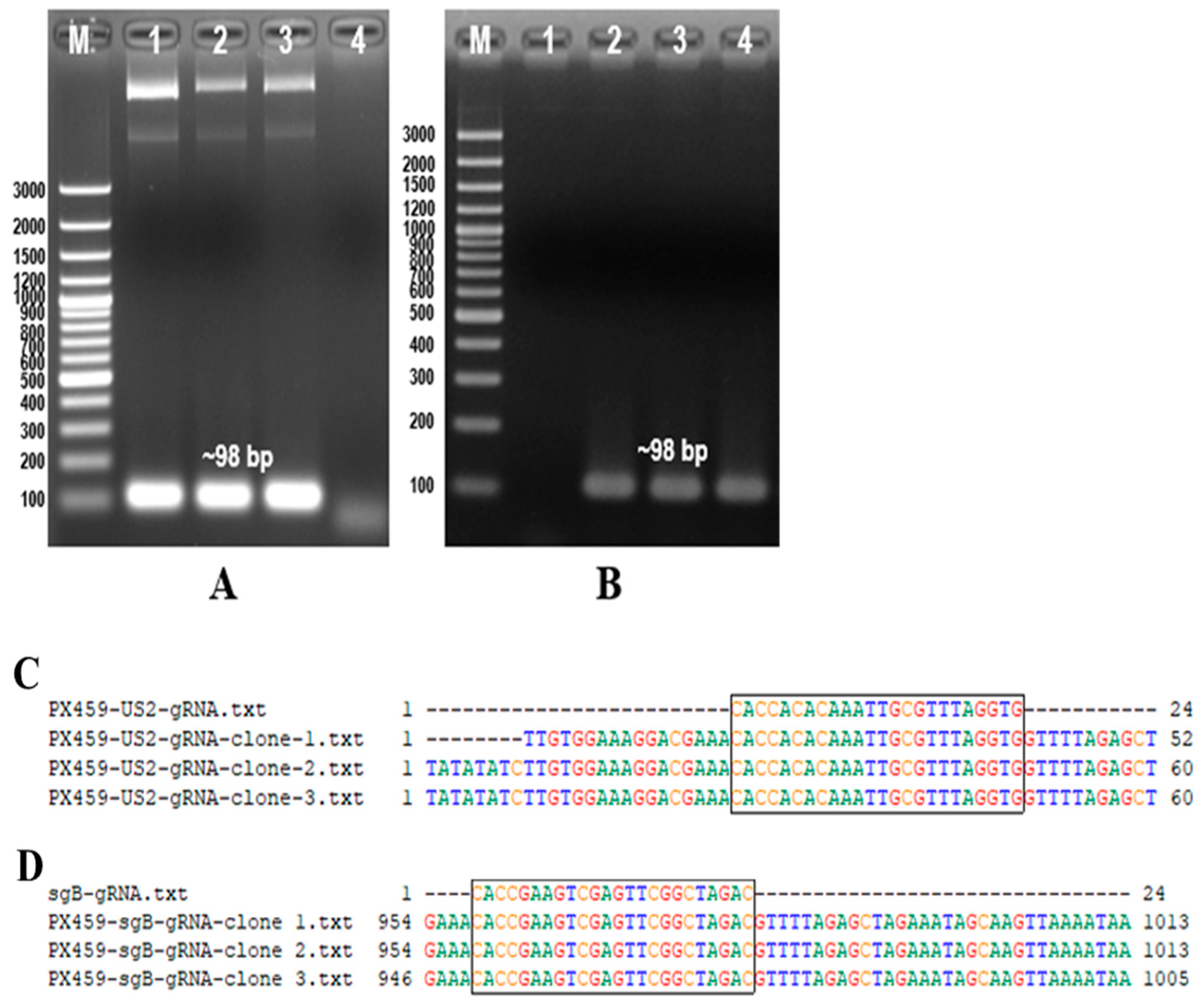 Animals 14 00872 g002