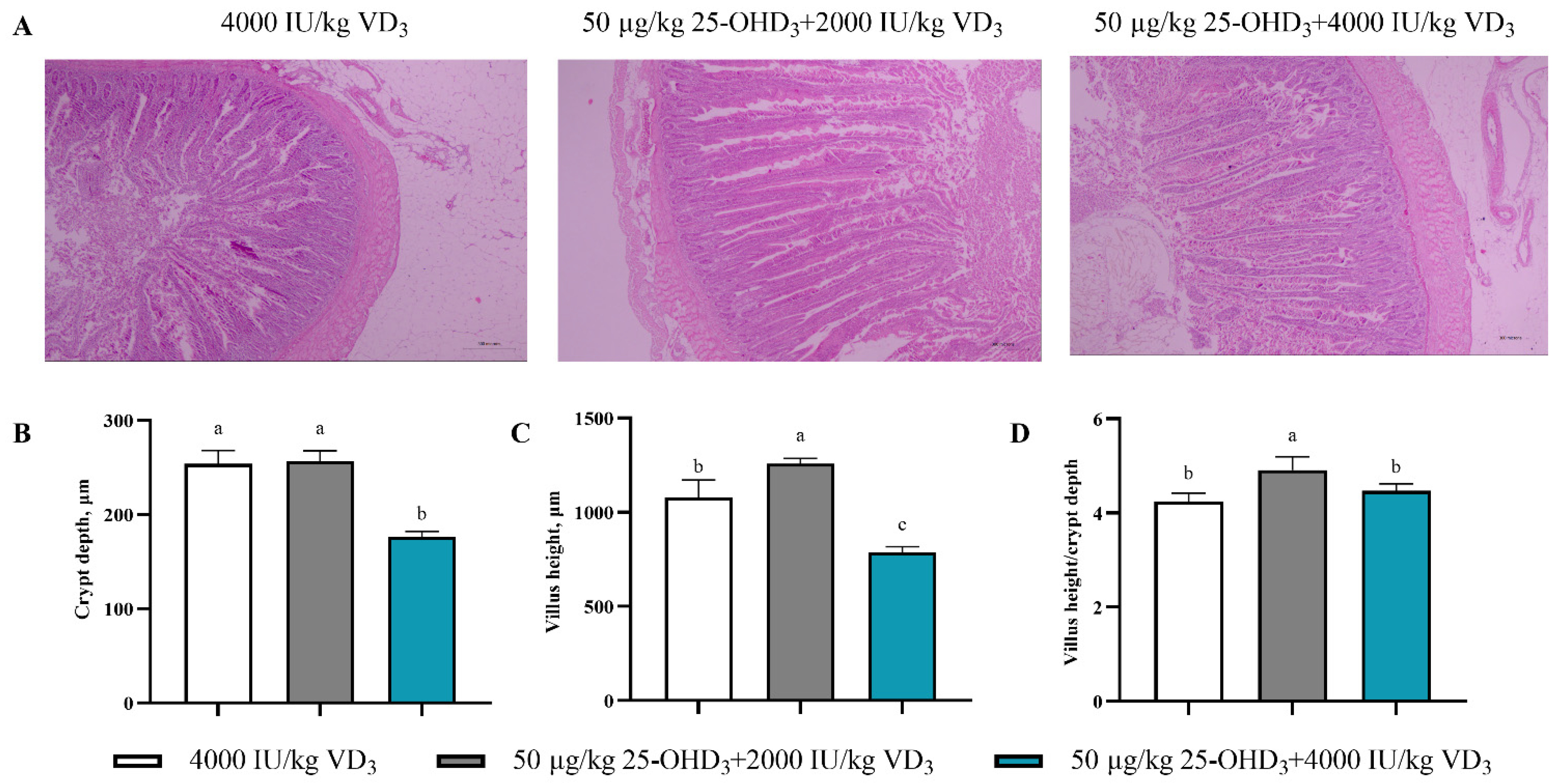 Animals 14 00878 g001