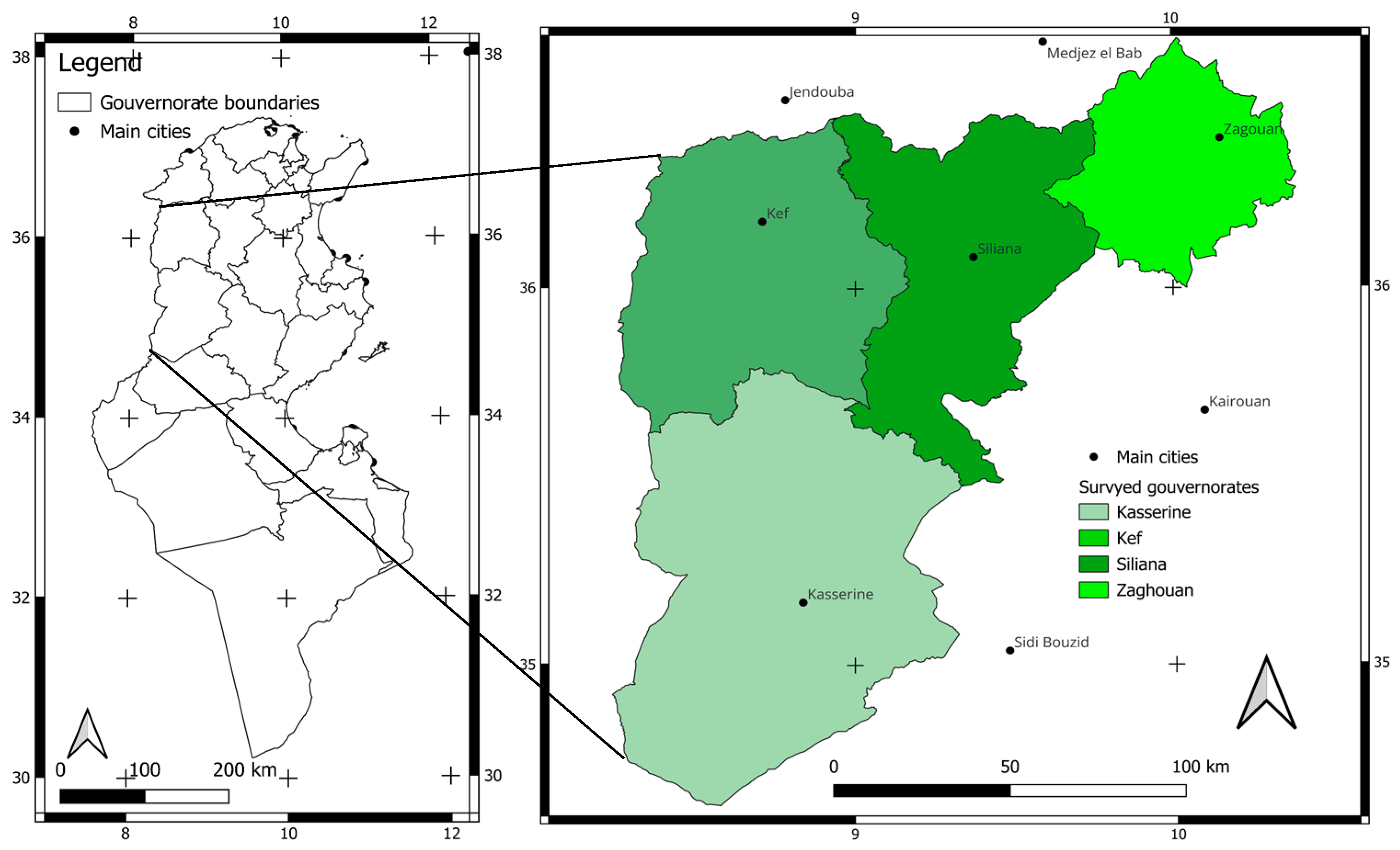 Animals 14 00885 g001