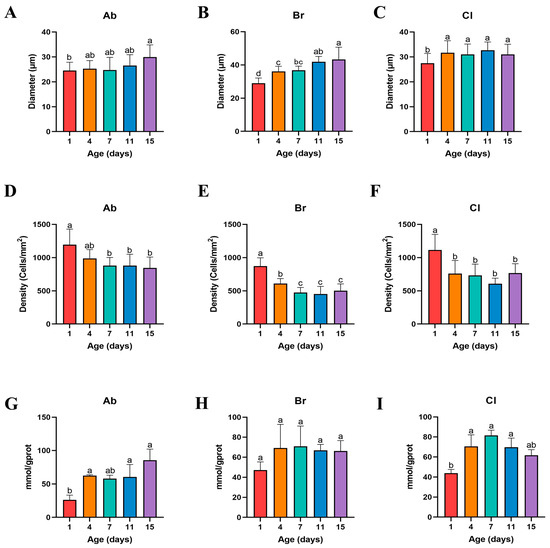 RNA-Seq Analysis Reveals the Molecular Mechanisms Regulating RNA-Seq Analysis Reveals the Molecular Mechanisms Regulating