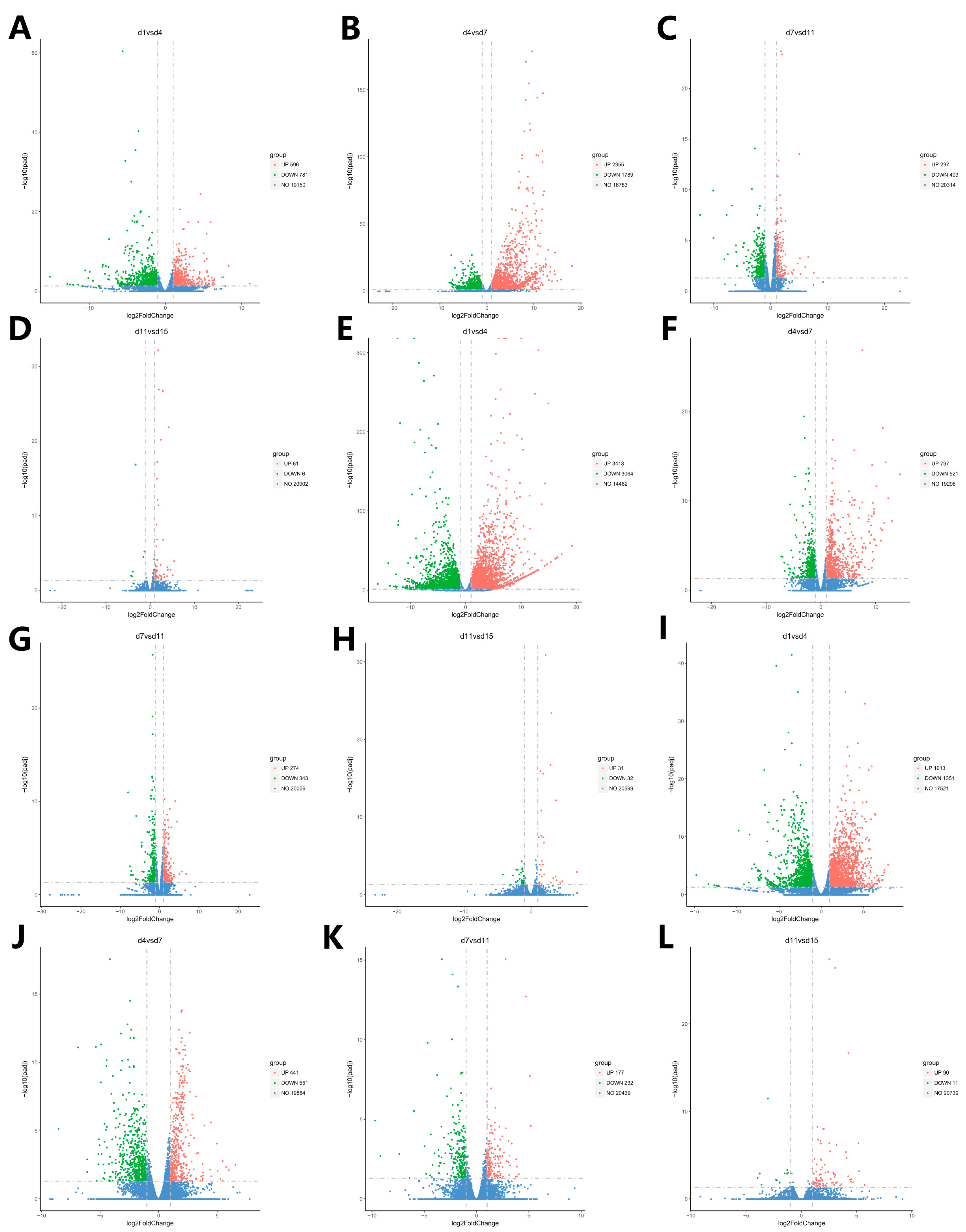 Animals 14 00899 g006
