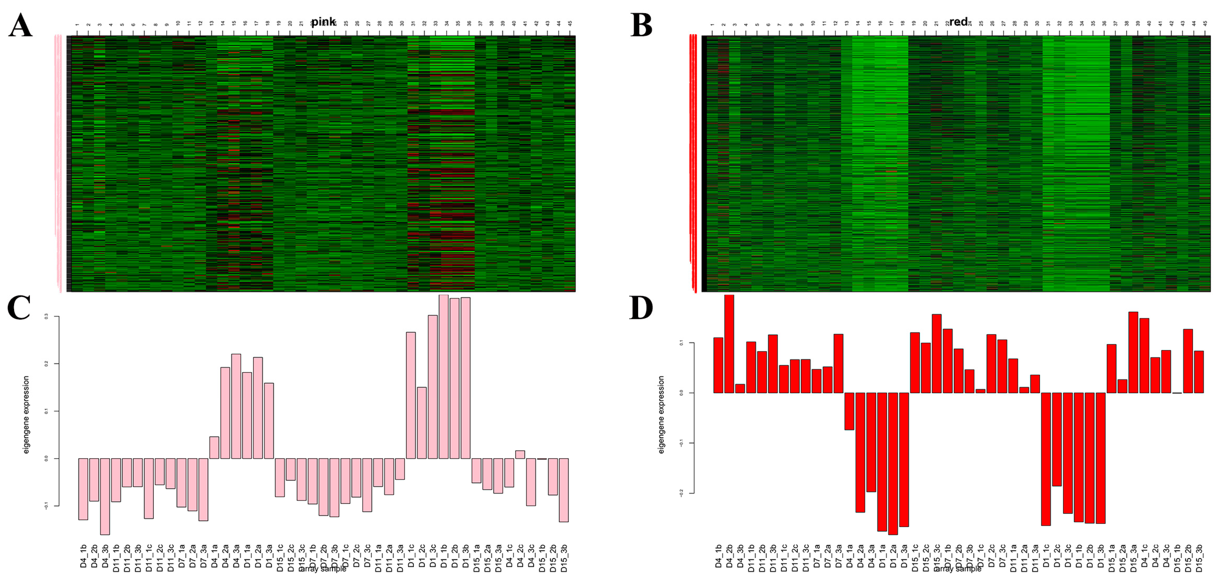Animals 14 00899 g012