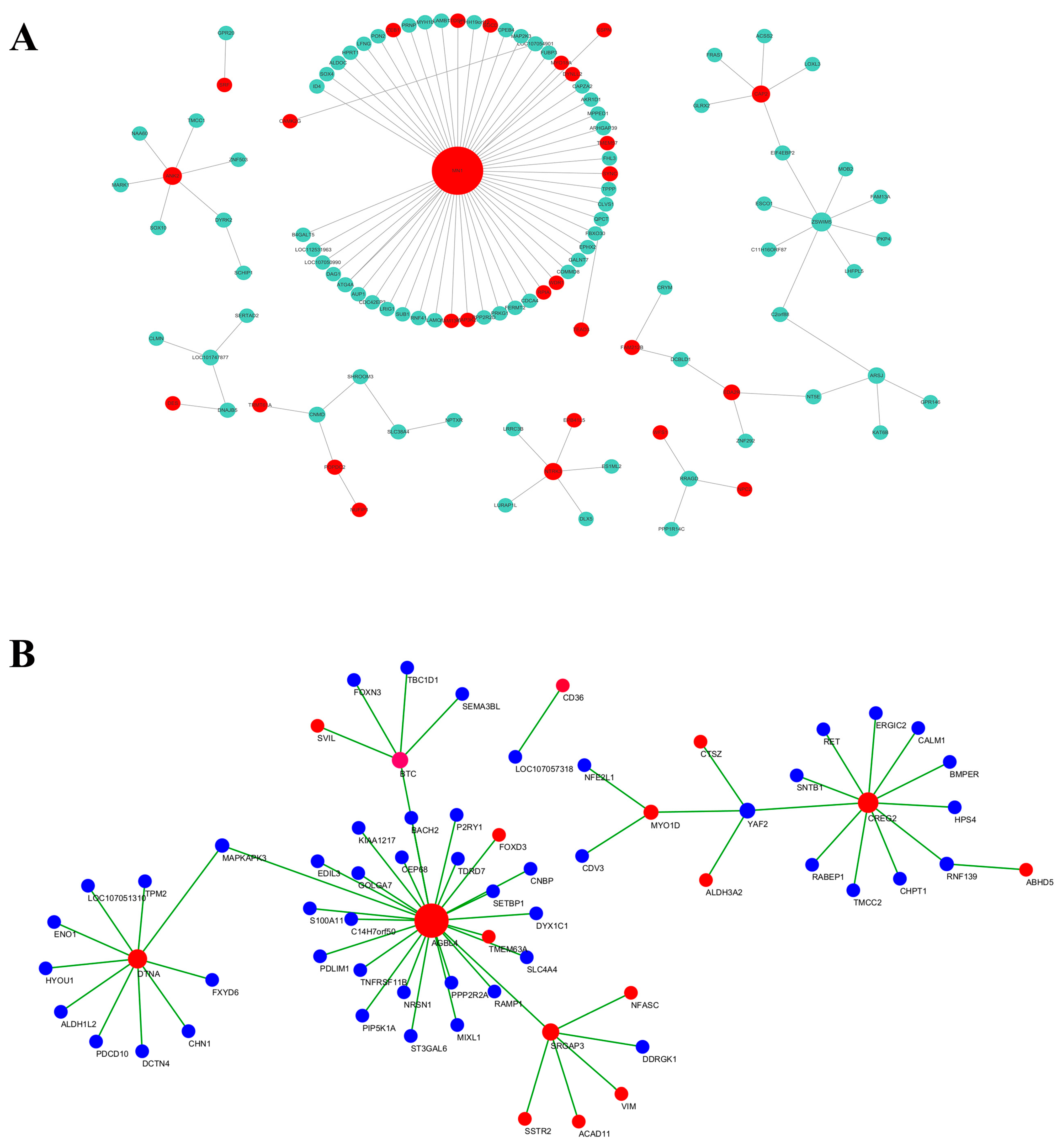 Animals 14 00899 g013