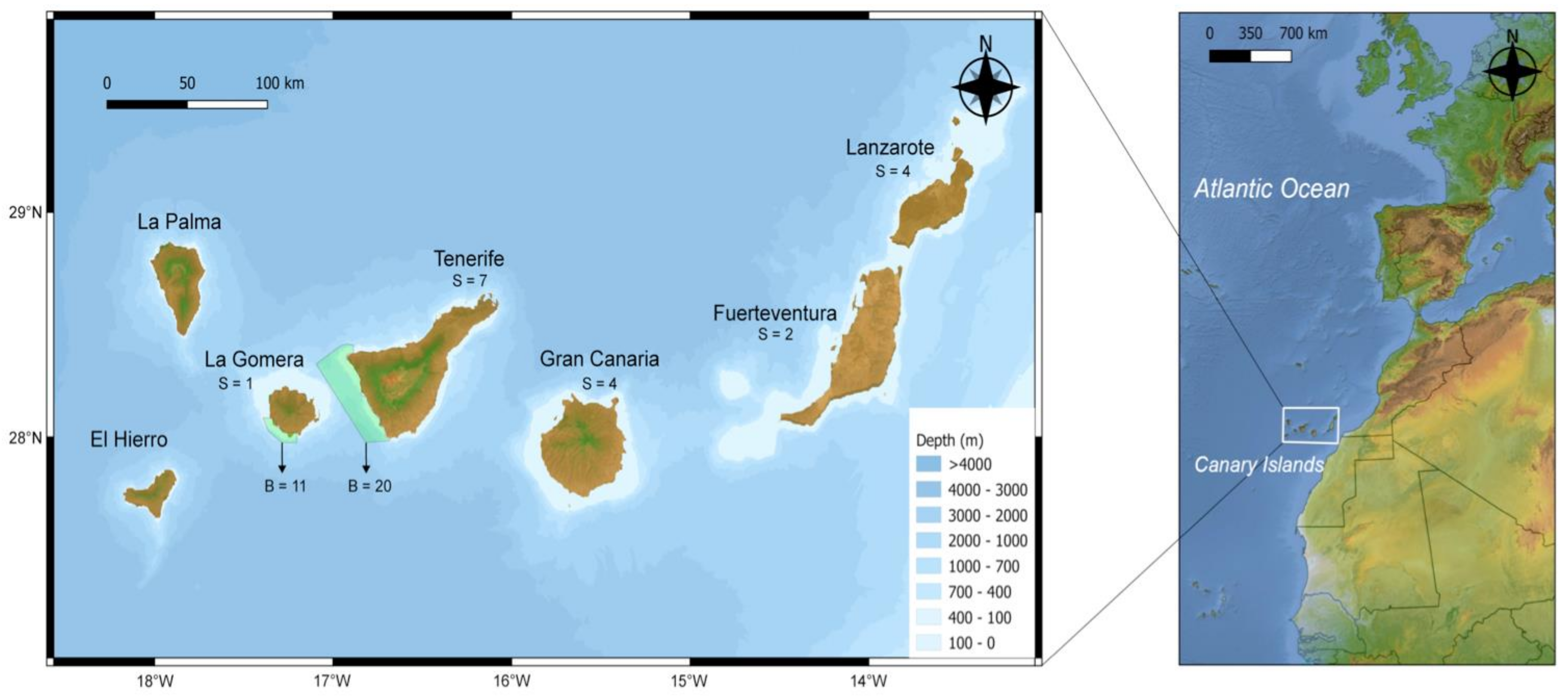 Animals 14 00901 g001