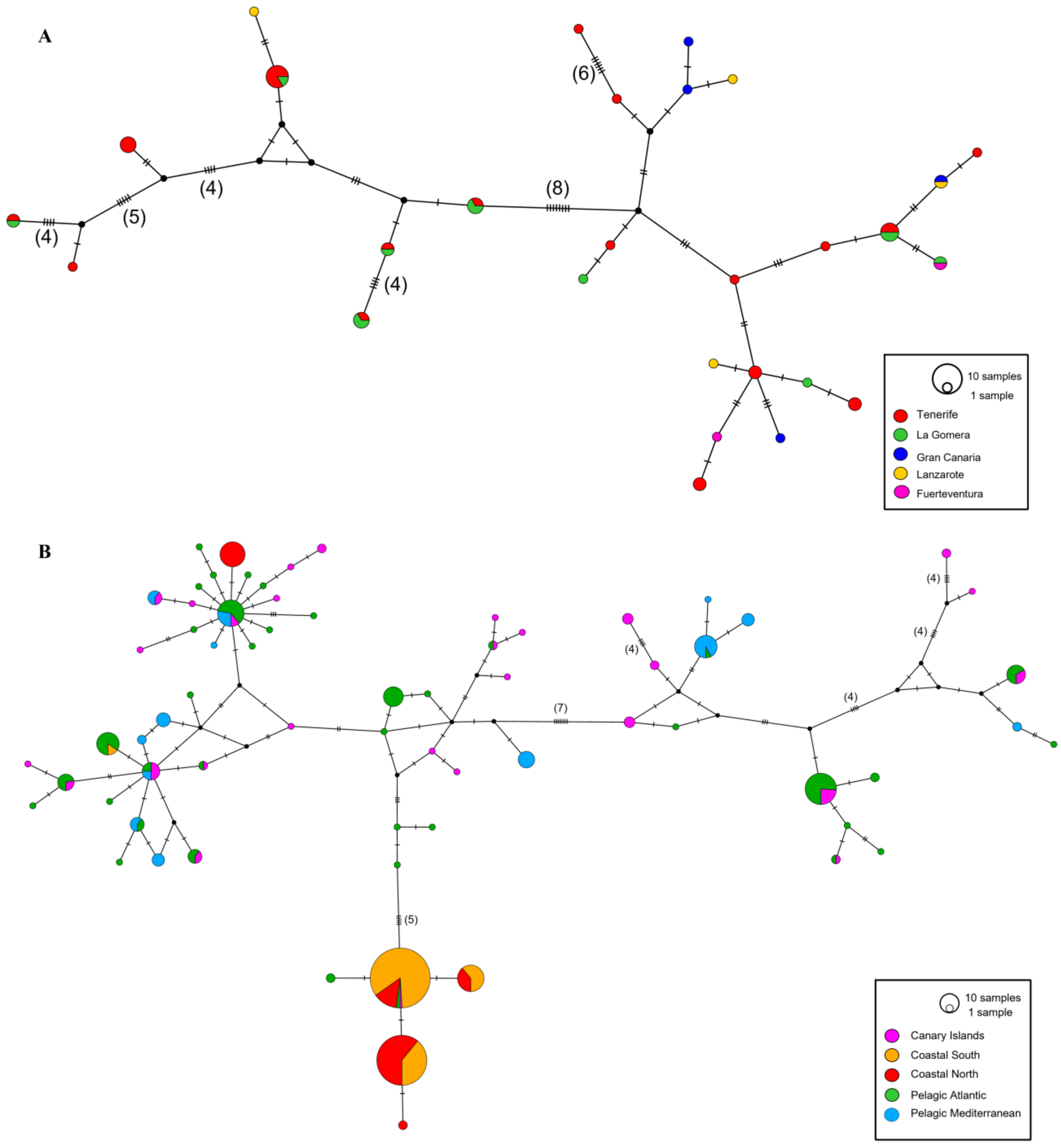 Animals 14 00901 g002