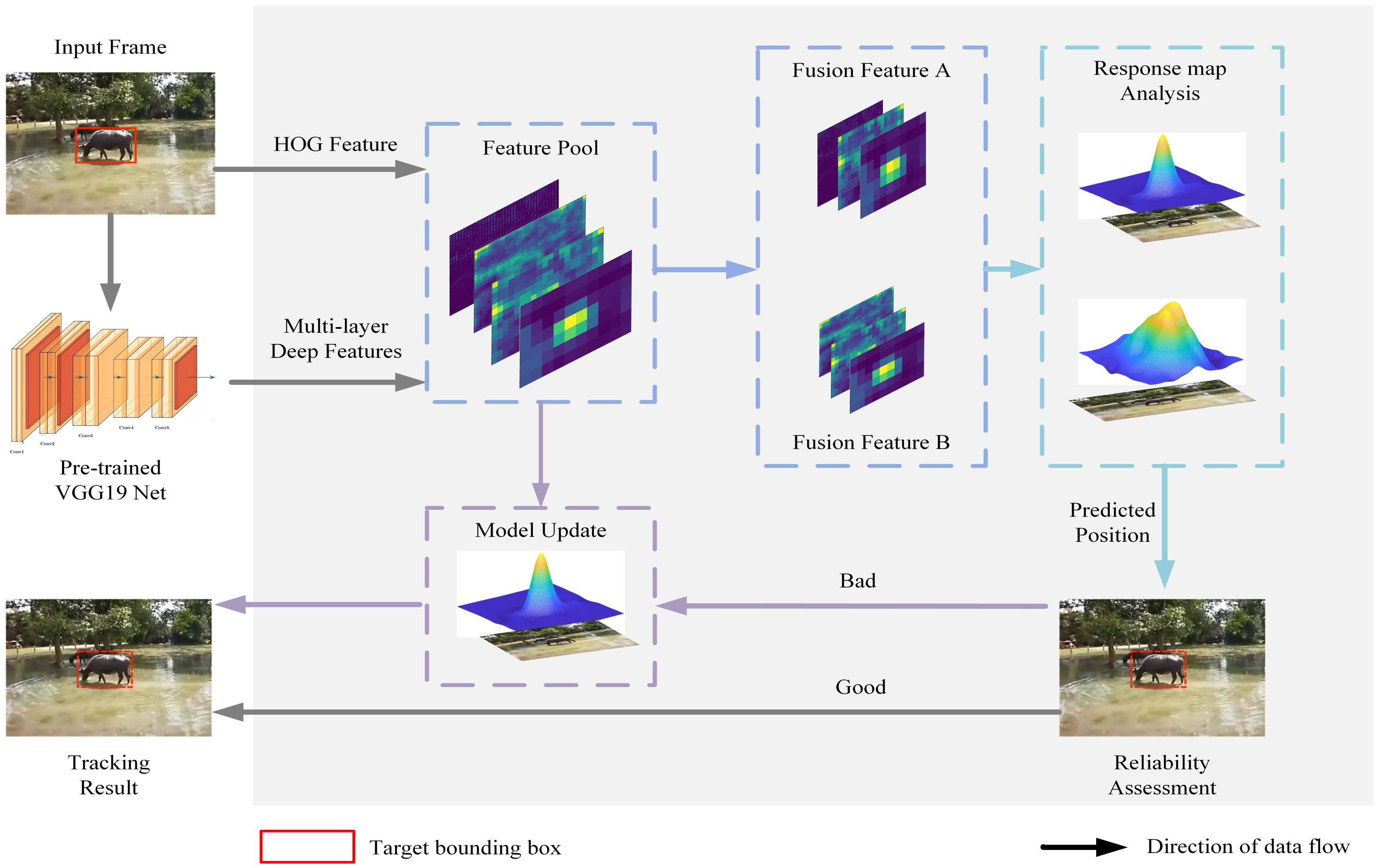 Animals 14 00902 g001