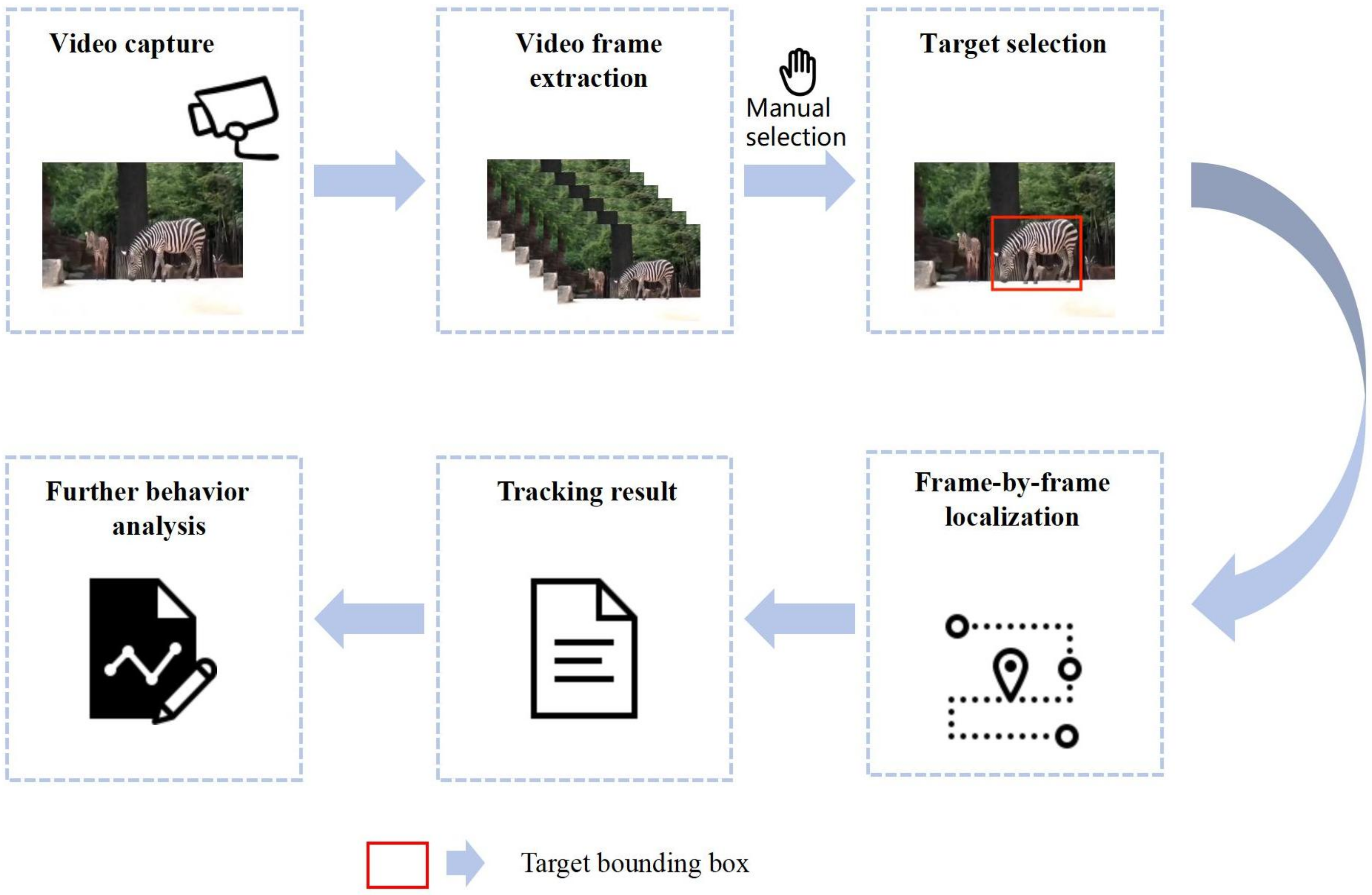 Animals 14 00902 g005