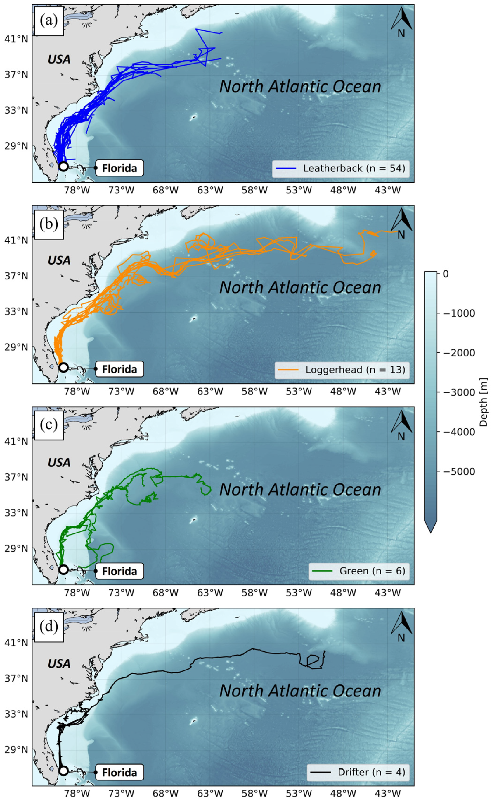 Animals 14 00903 g003 Animals 14 00903 g003