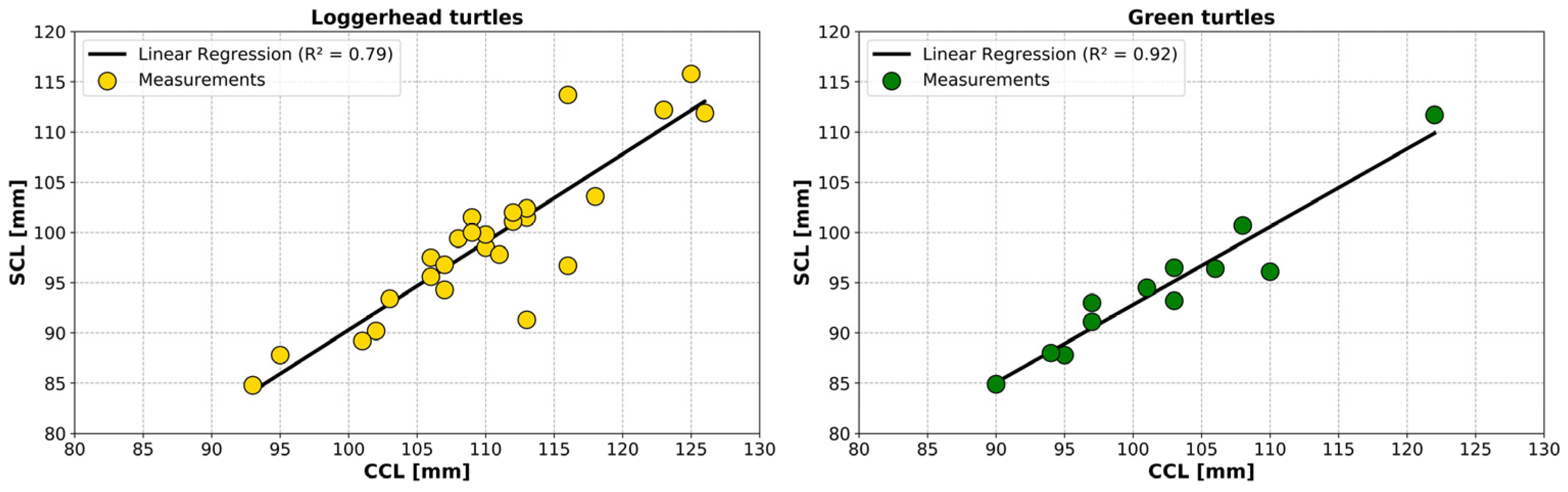 Animals 14 00903 g0a1 Animals 14 00903 g0a1