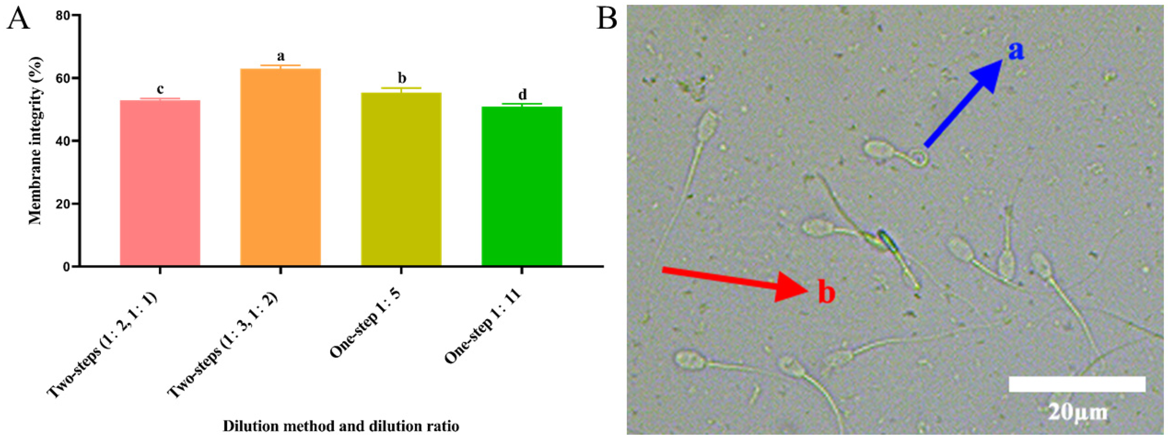 Animals 14 00907 g001 Animals 14 00907 g001
