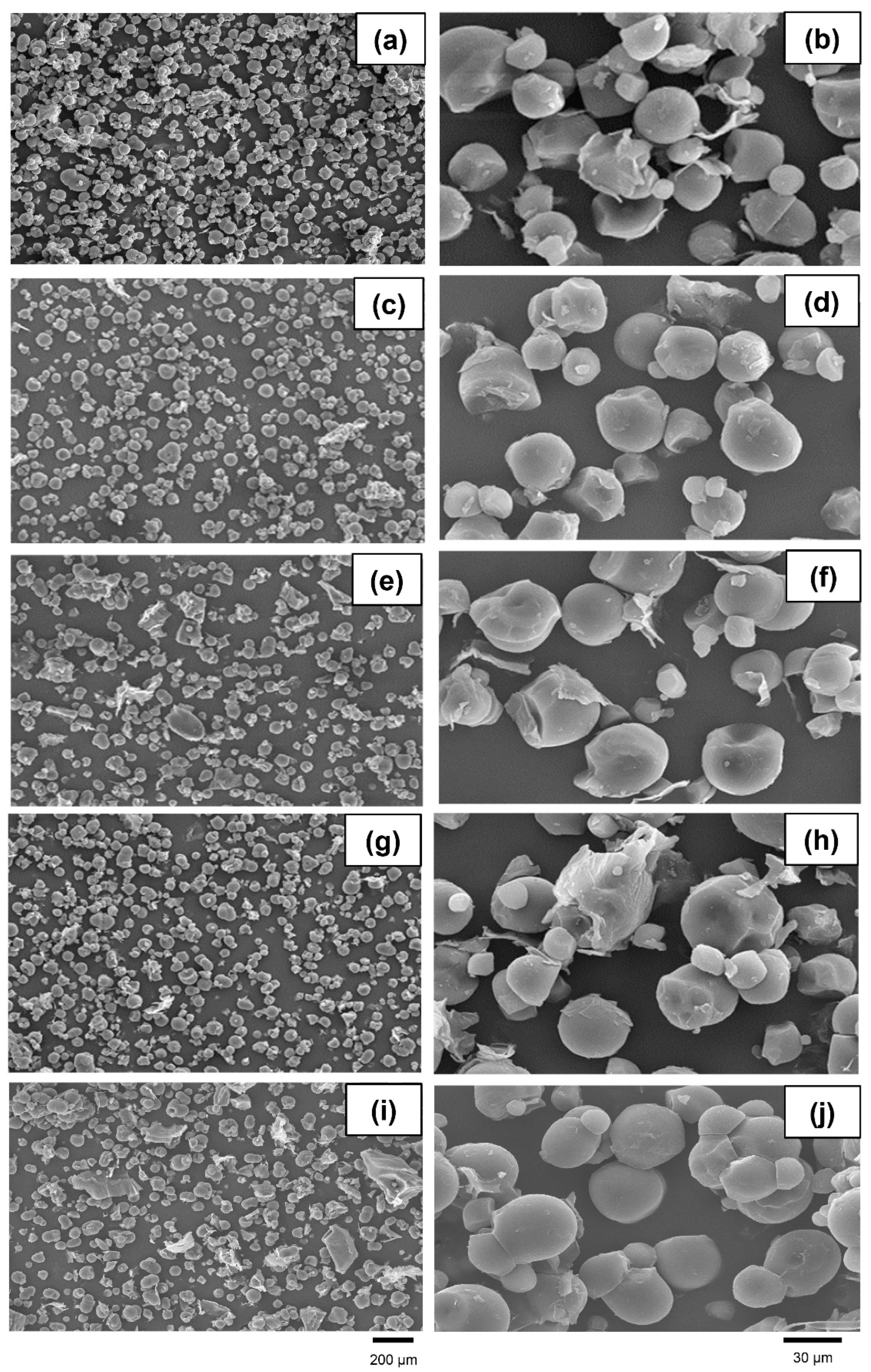 Animals 14 00908 g003