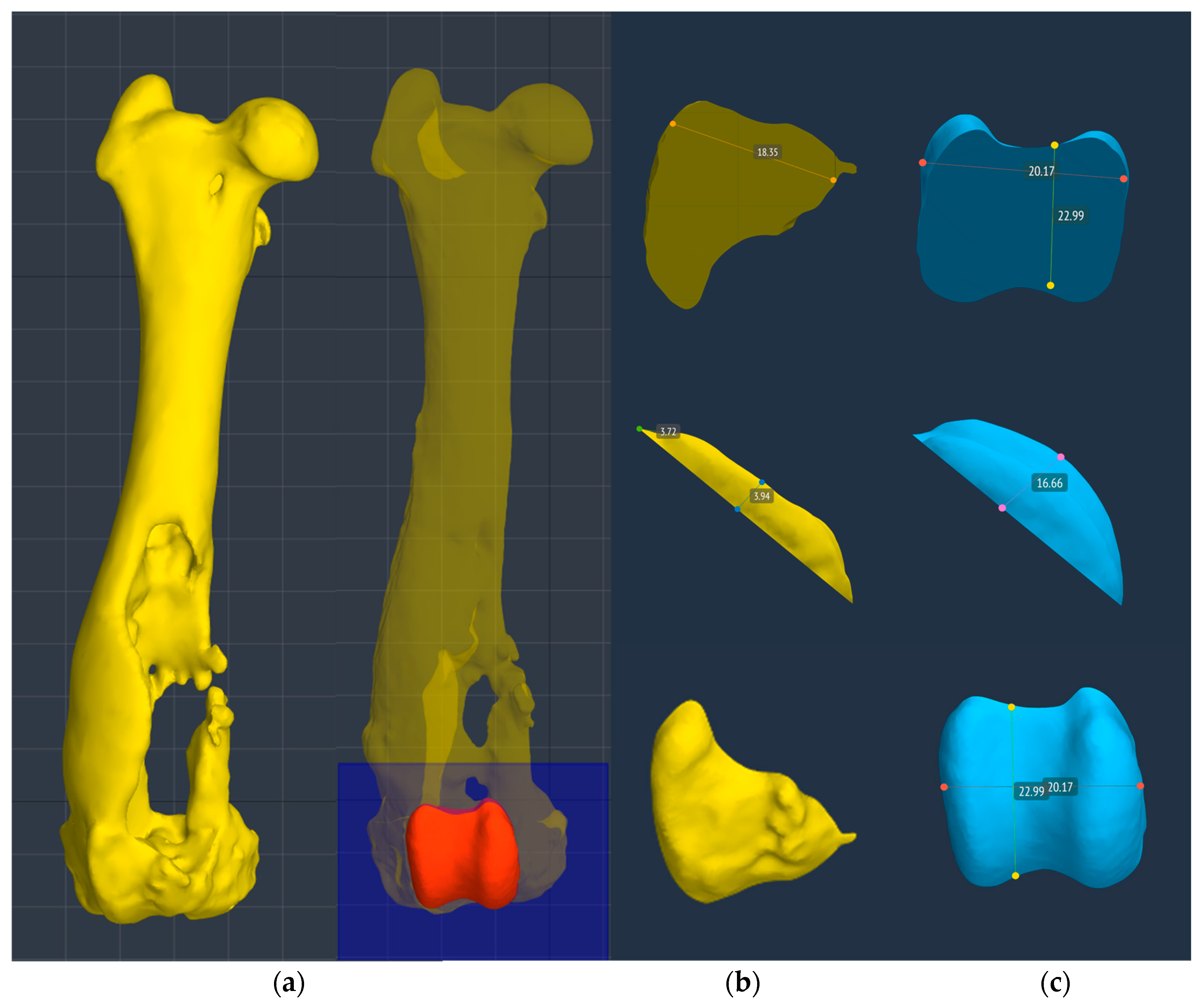 Animals 14 00909 g006