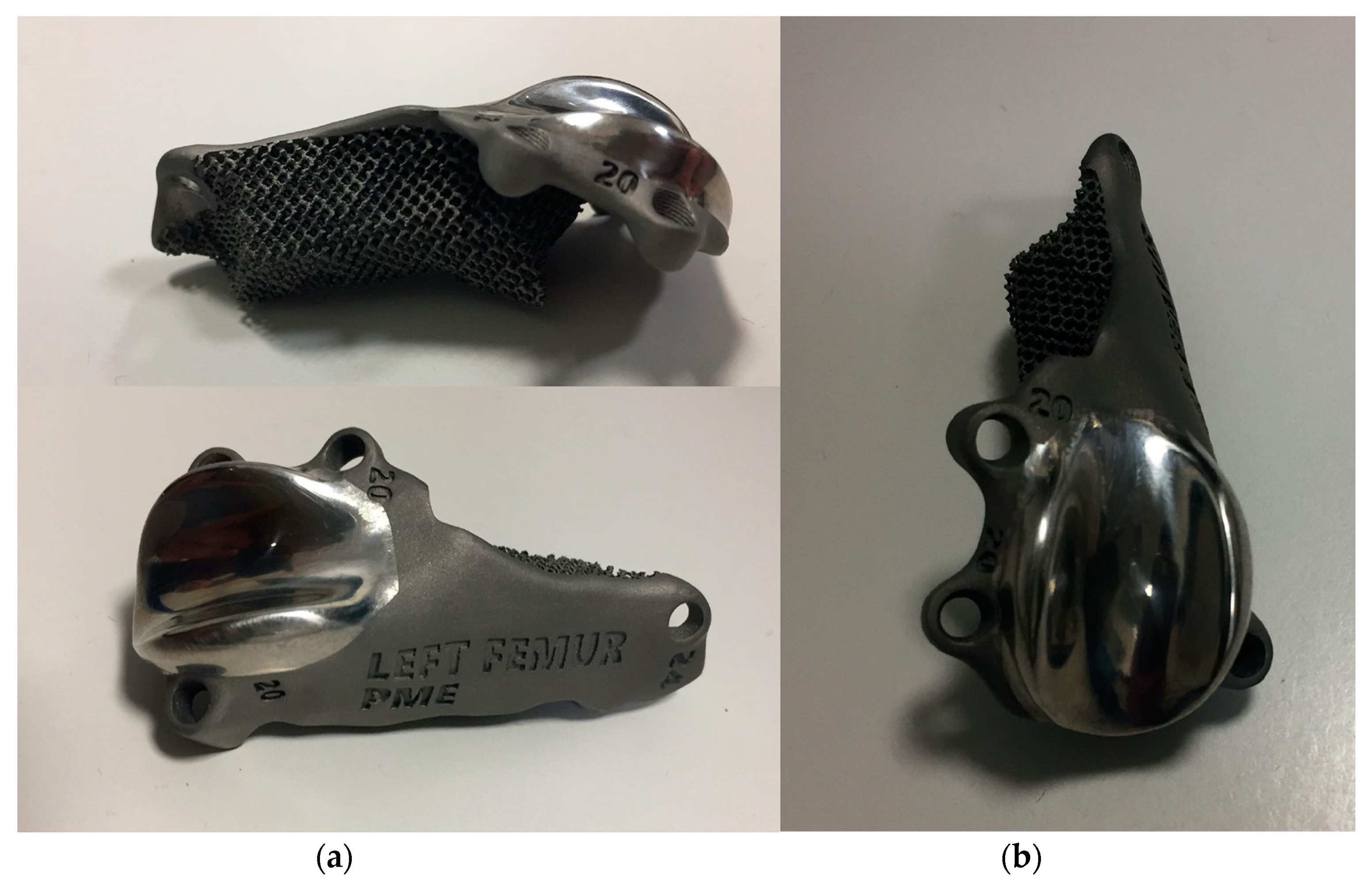 Animals 14 00909 g008