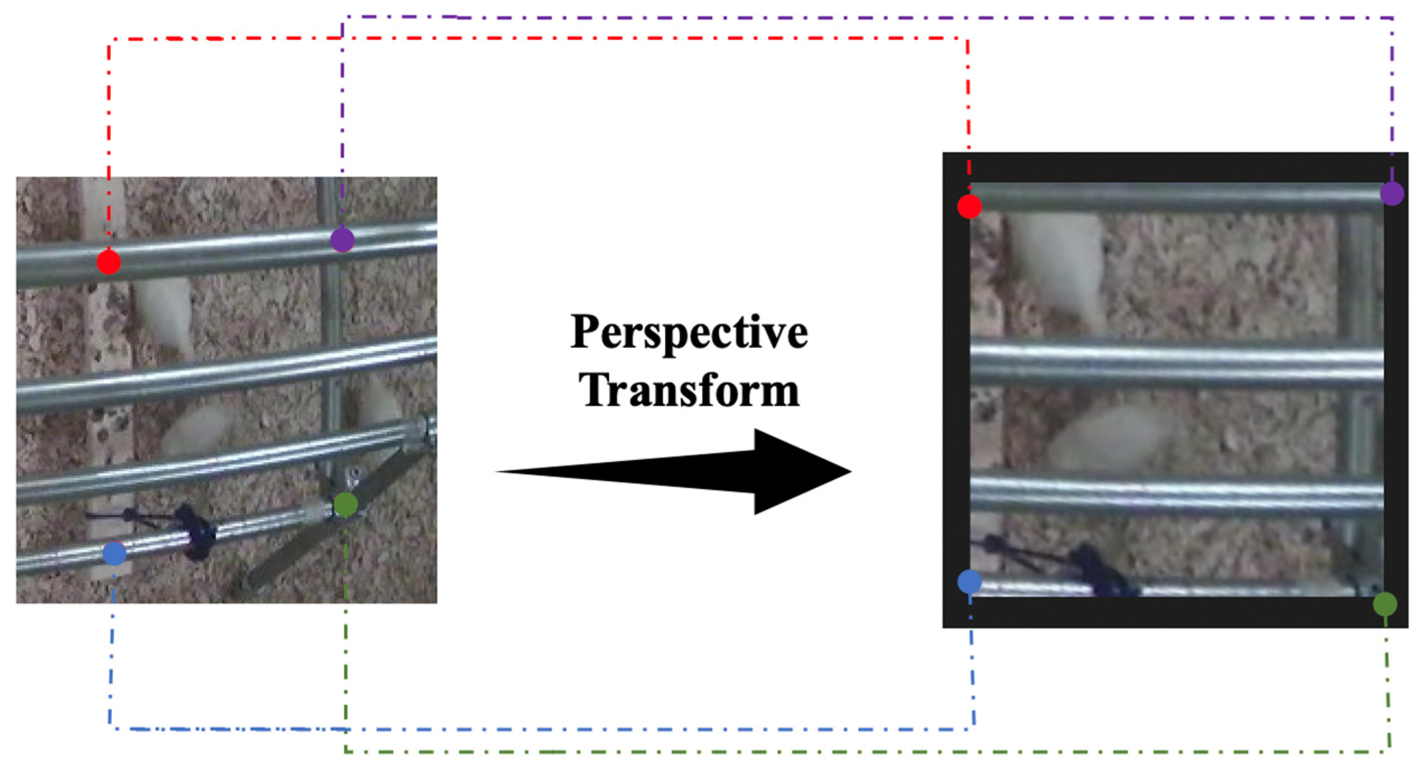 Animals 14 00911 g003