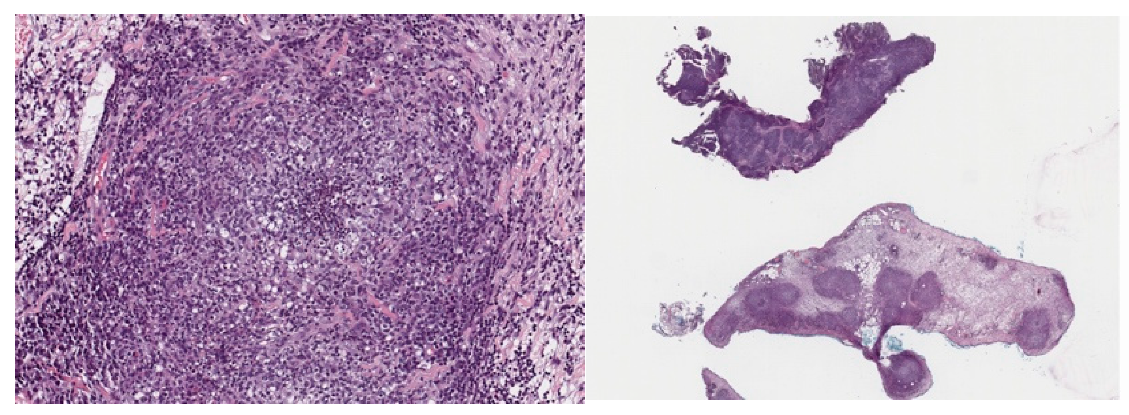 Animals 14 00916 g001