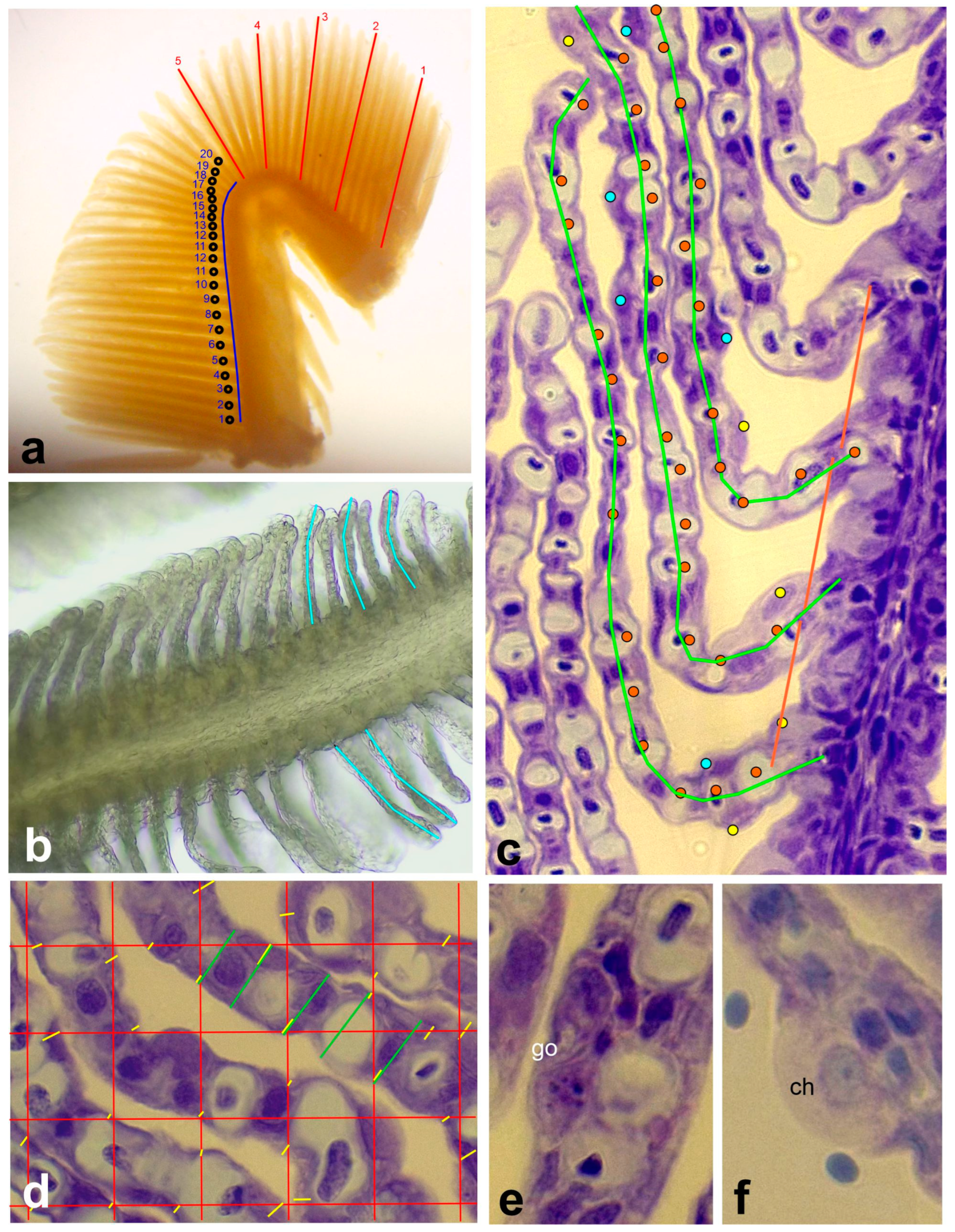 Animals 14 00919 g002