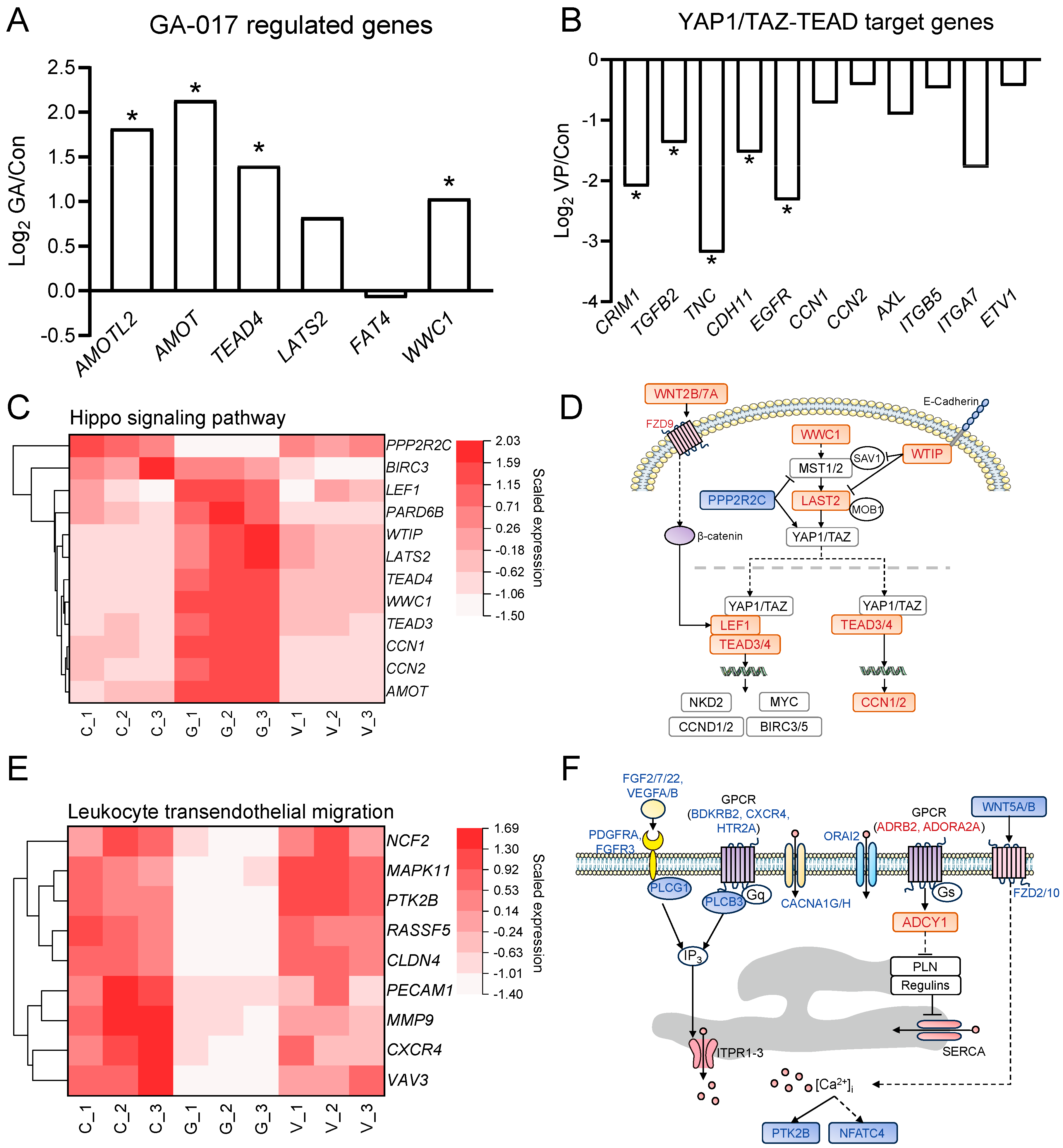 Animals 14 00922 g004