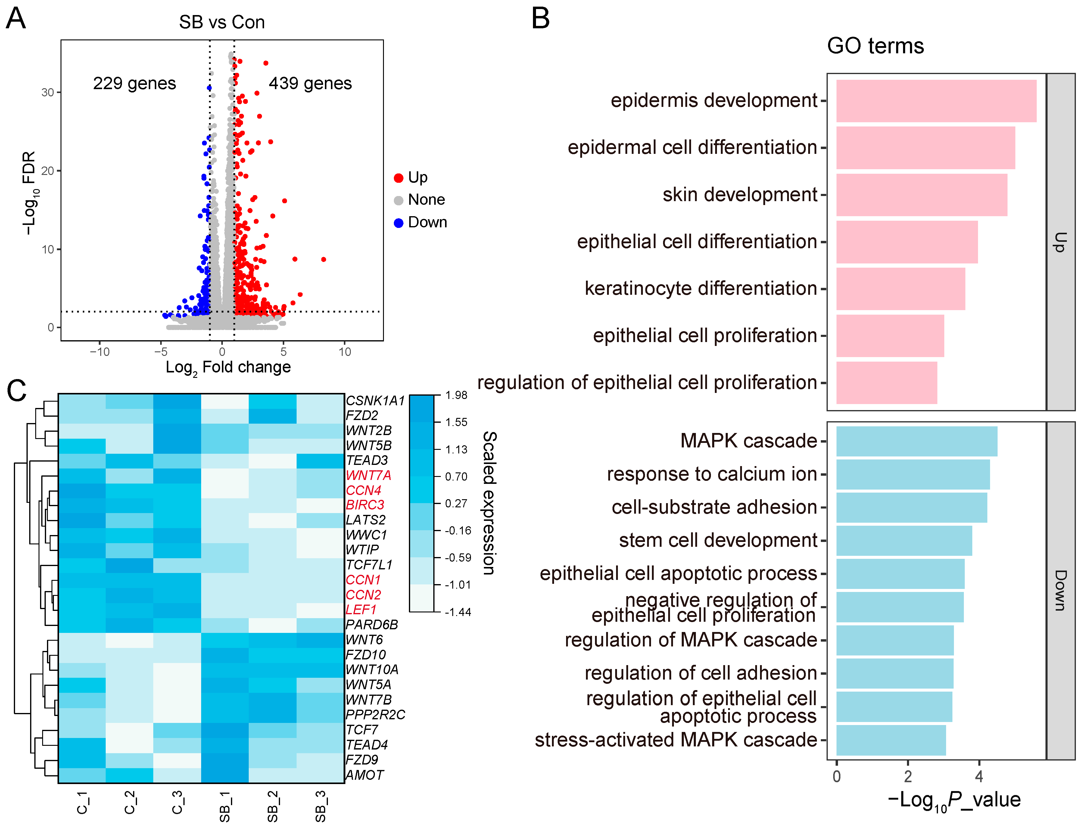 Animals 14 00922 g005