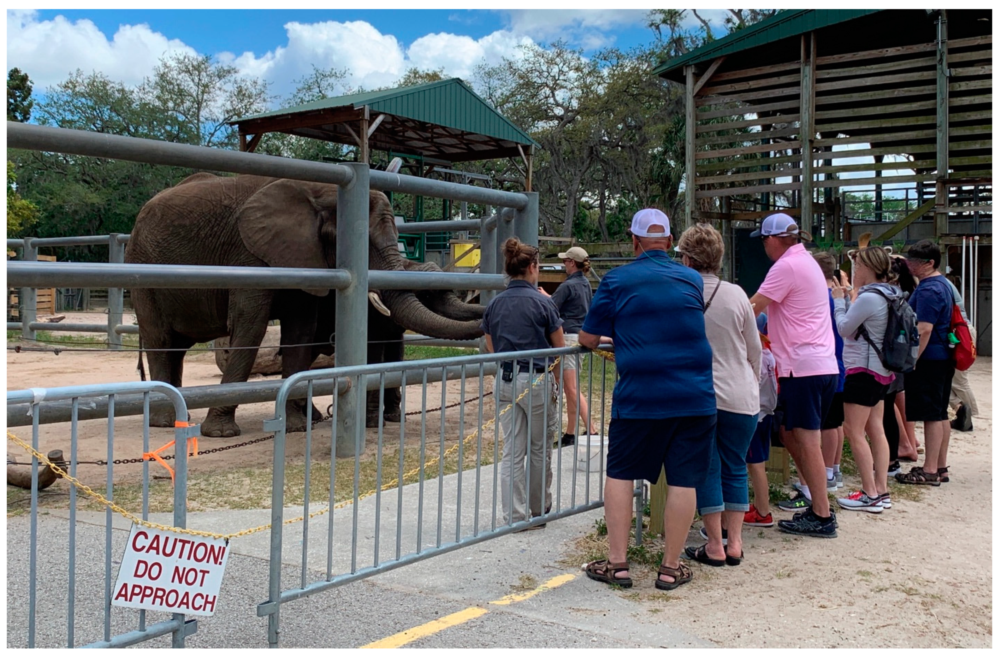 Animals 14 00923 g002