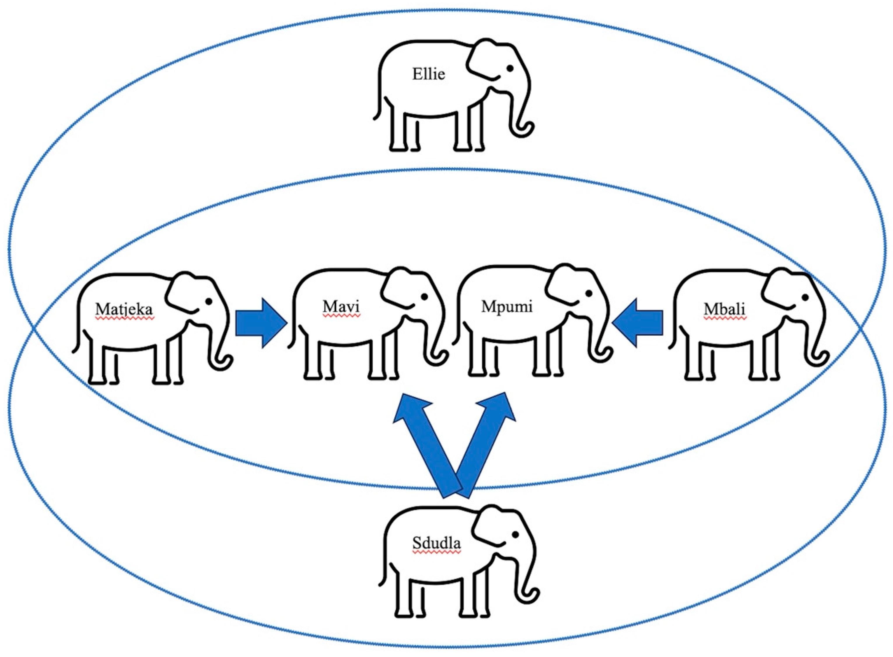 Animals 14 00923 g003