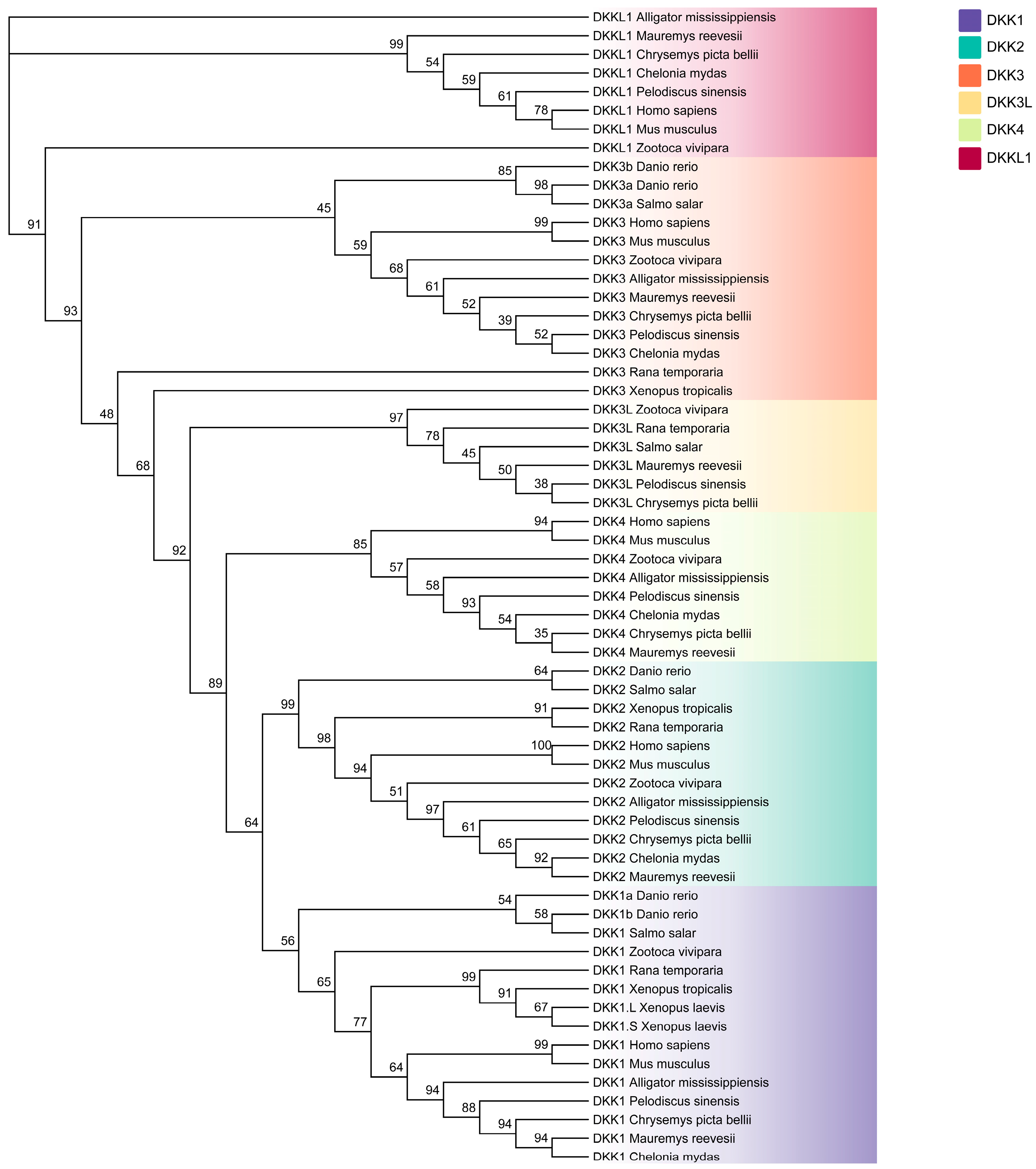 Animals 14 00931 g001 Animals 14 00931 g001