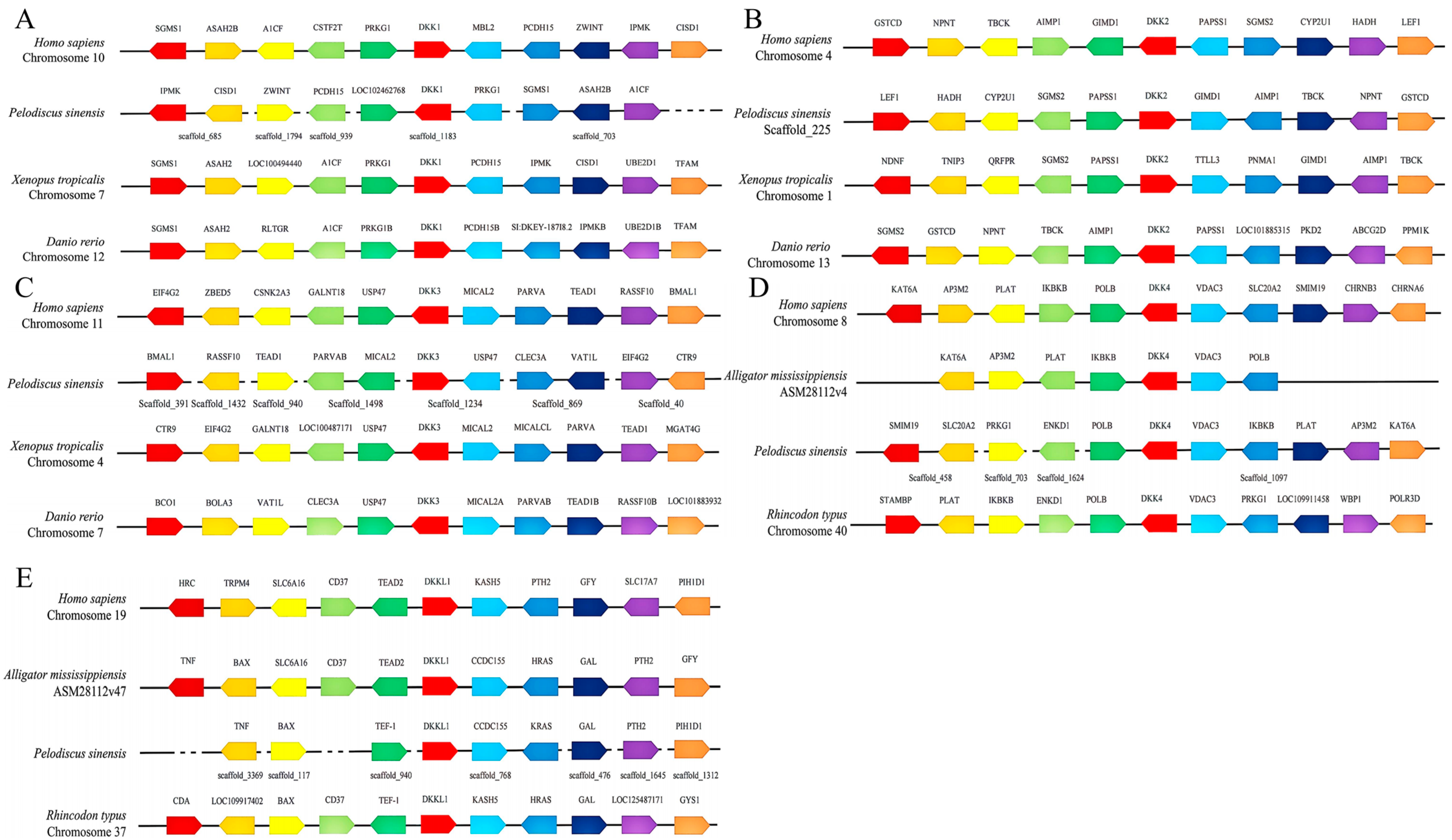 Animals 14 00931 g002 Animals 14 00931 g002