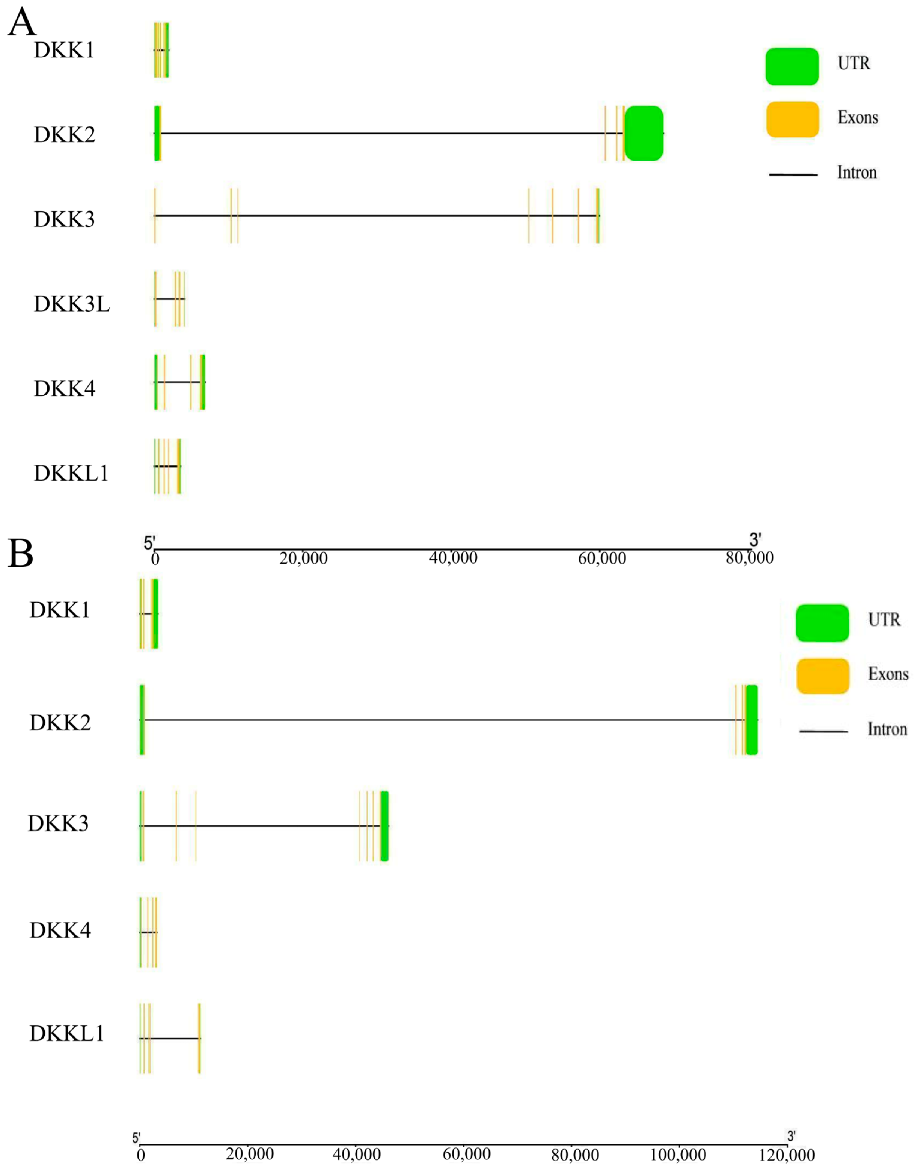 Animals 14 00931 g003 Animals 14 00931 g003