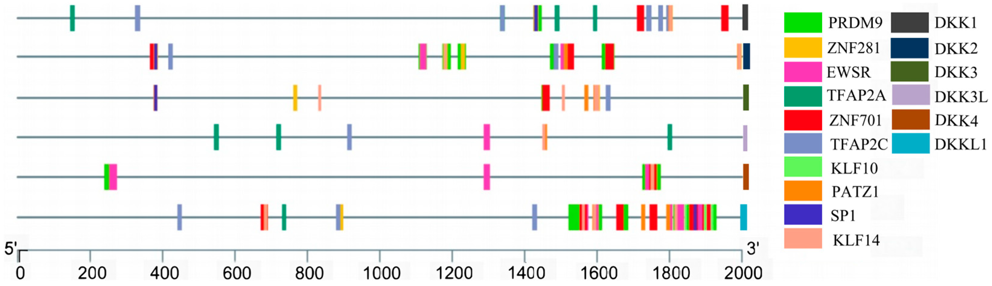 Animals 14 00931 g006 Animals 14 00931 g006